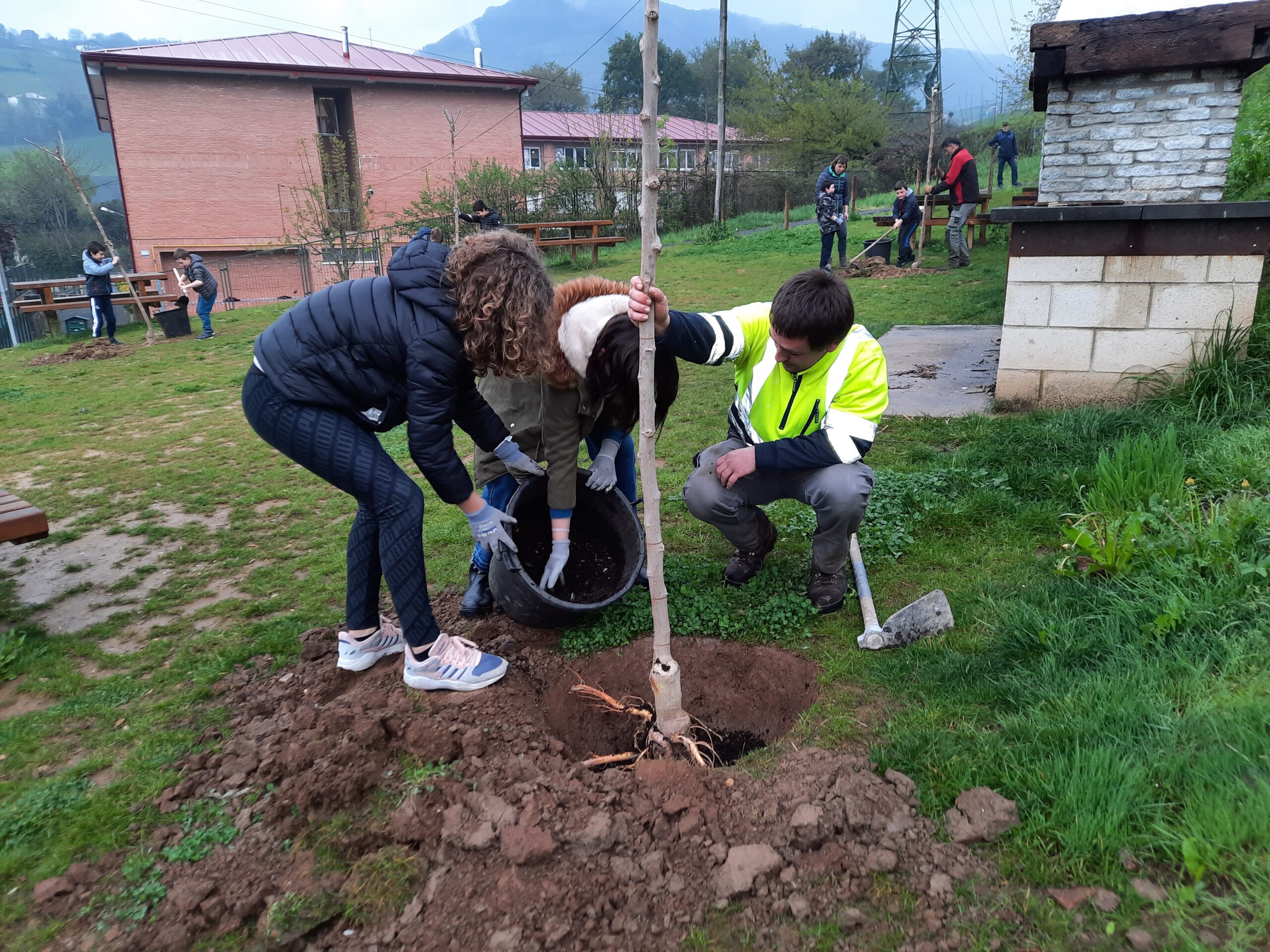 Los alumnos de Uzturpe Ikastola han plantado árboles - Noticias