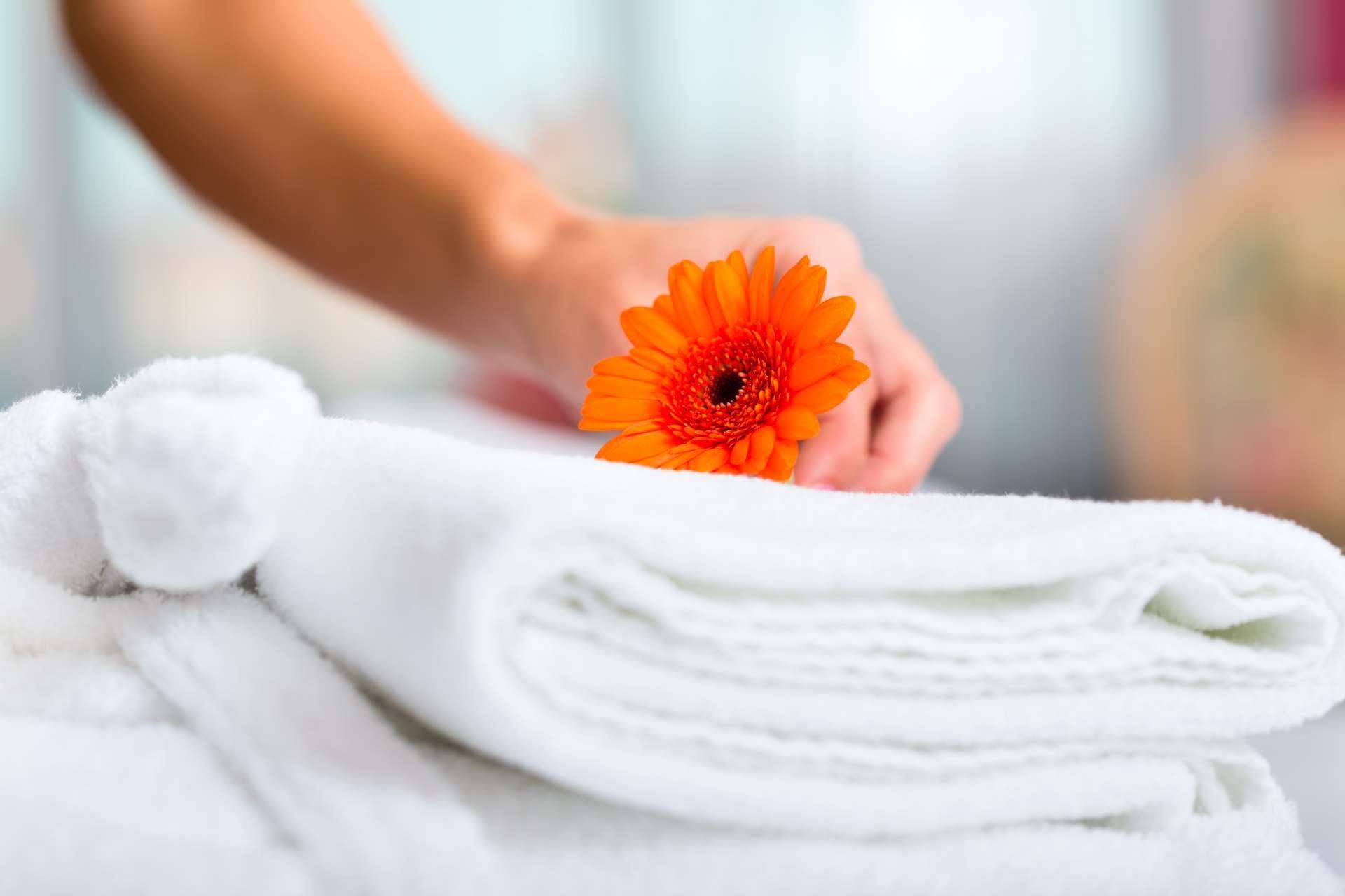 Auxihostelería asesora a hoteles en la creación de ambientes frescos y agradables para la llegada del verano