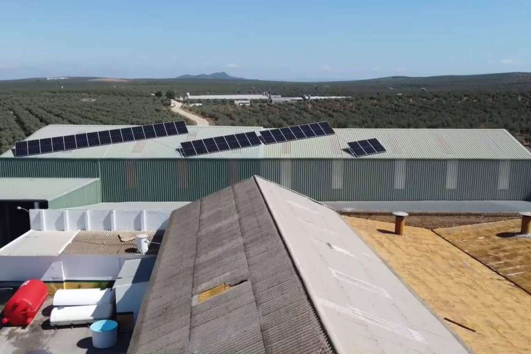 TodoAgrícola presenta los beneficios de contar con energía de autoconsumo en empresas