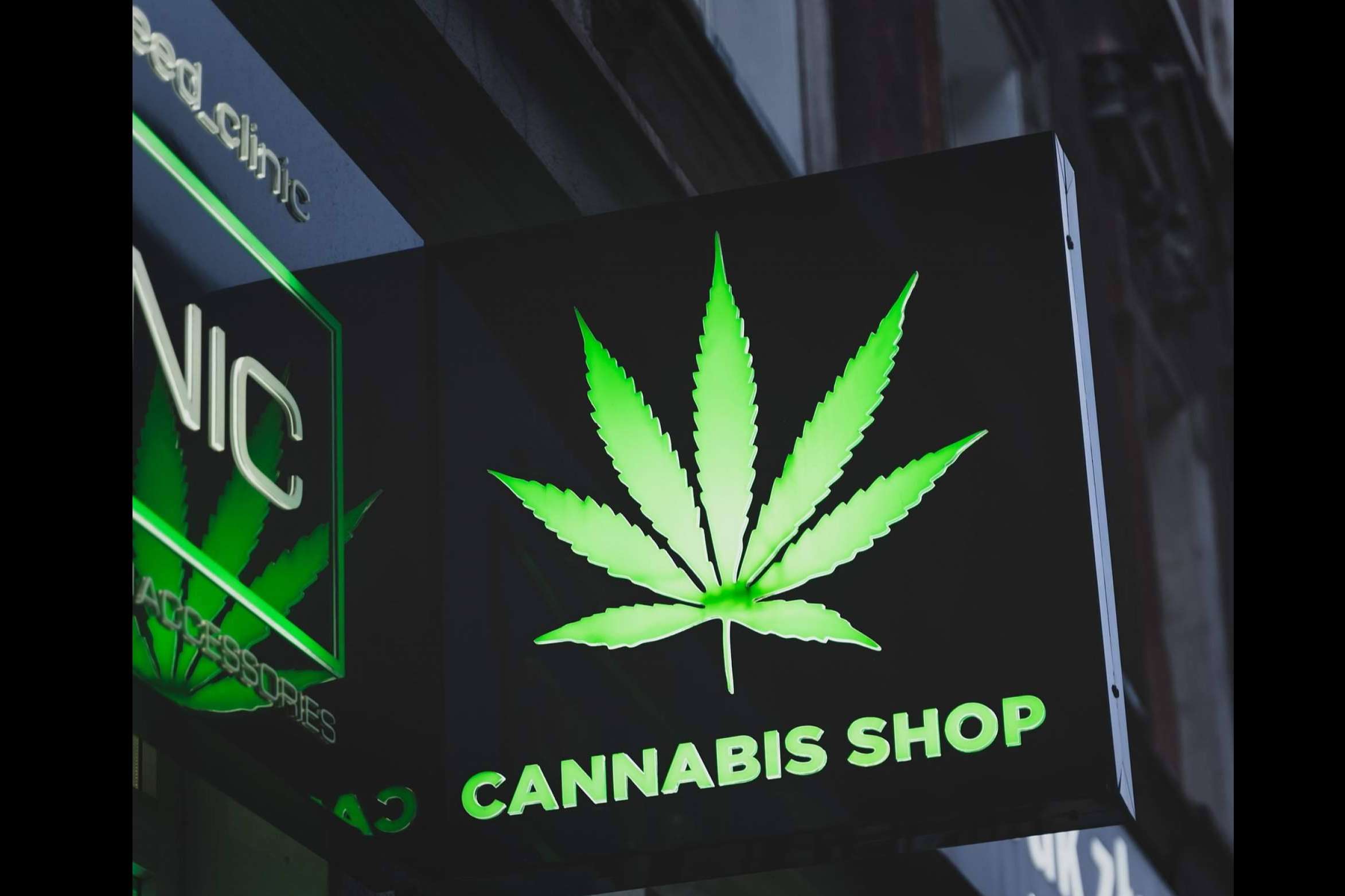 ¿Qué beneficios aporta el cannabis en la salud? Con Canna Rural