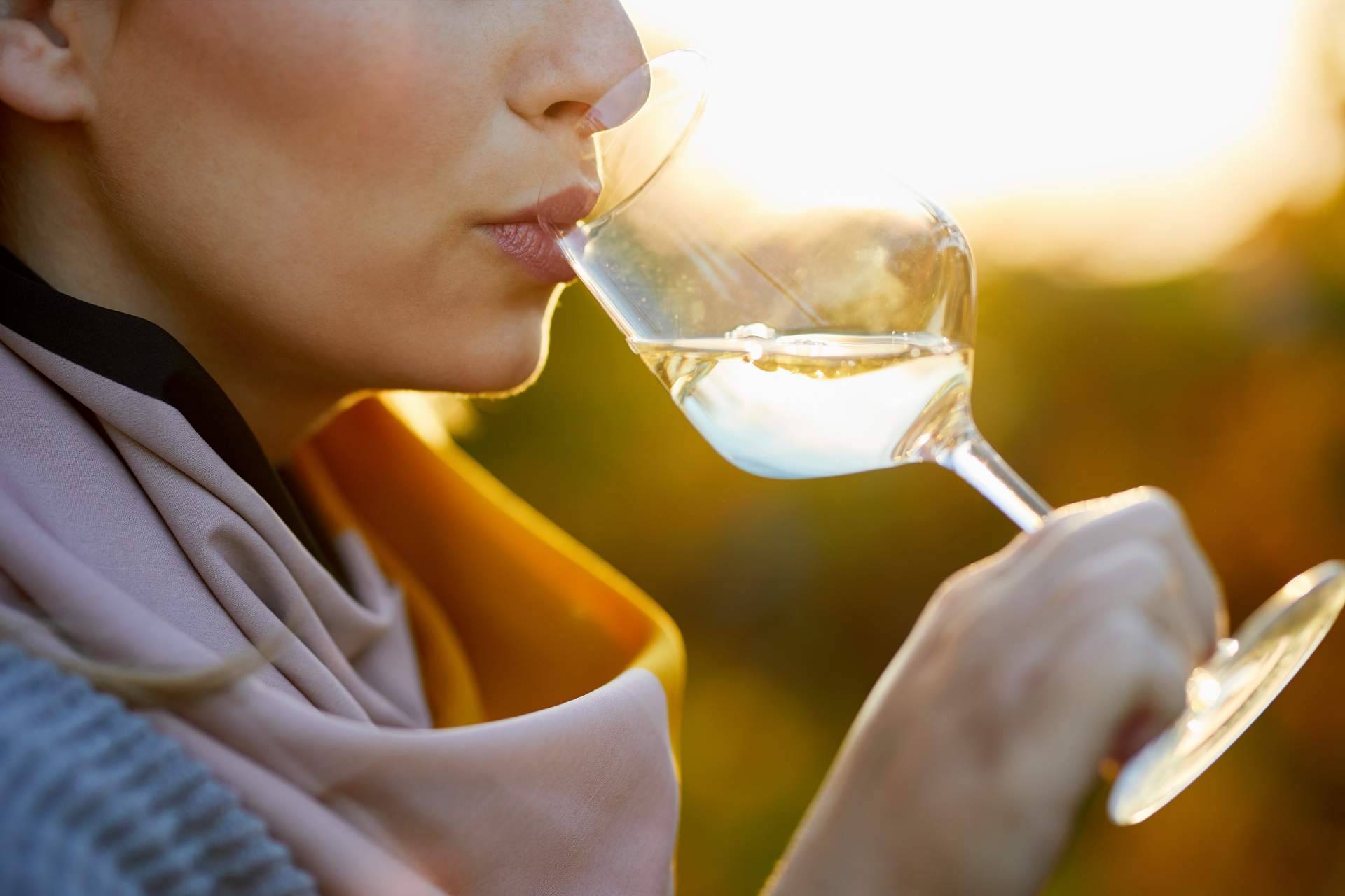 Las recomendaciones de Your Wine at Home para comprar vino online
