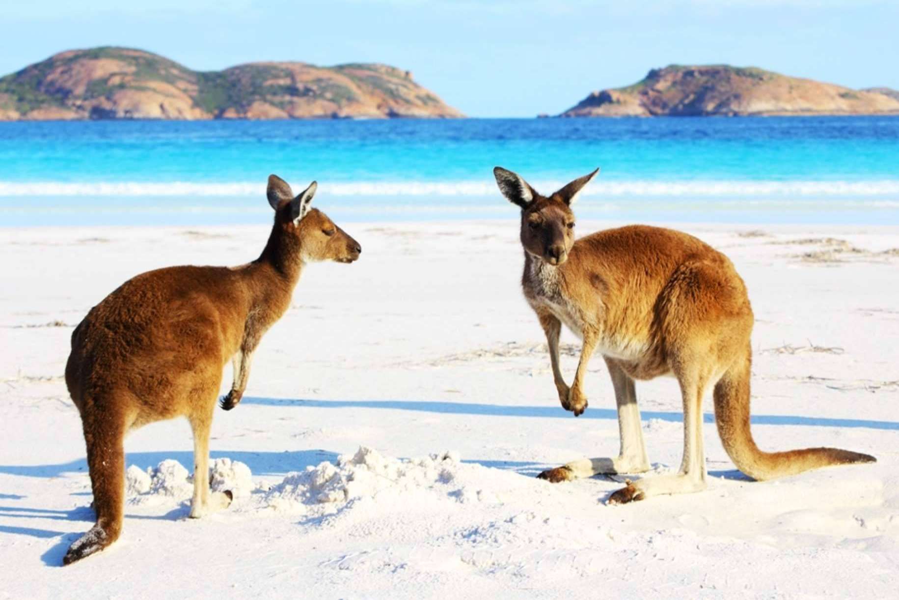 Australia Study España permite estudiar inglés en Australia
