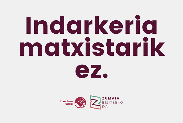 Declaración municipal ante el caso de pinchazo en Zumaia — Ayuntamiento de Zumaia