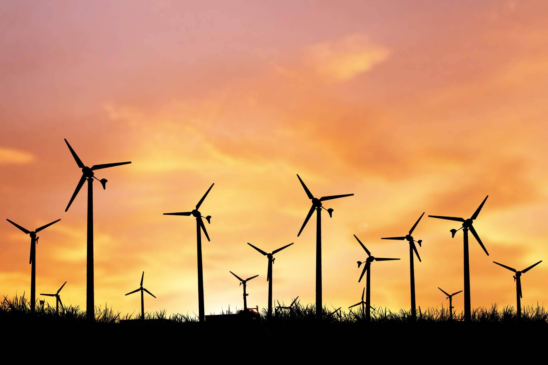 Consorcio Europeo de Avales explica la importancia de los seguros de caución para las empresas de energías renovables de hoy