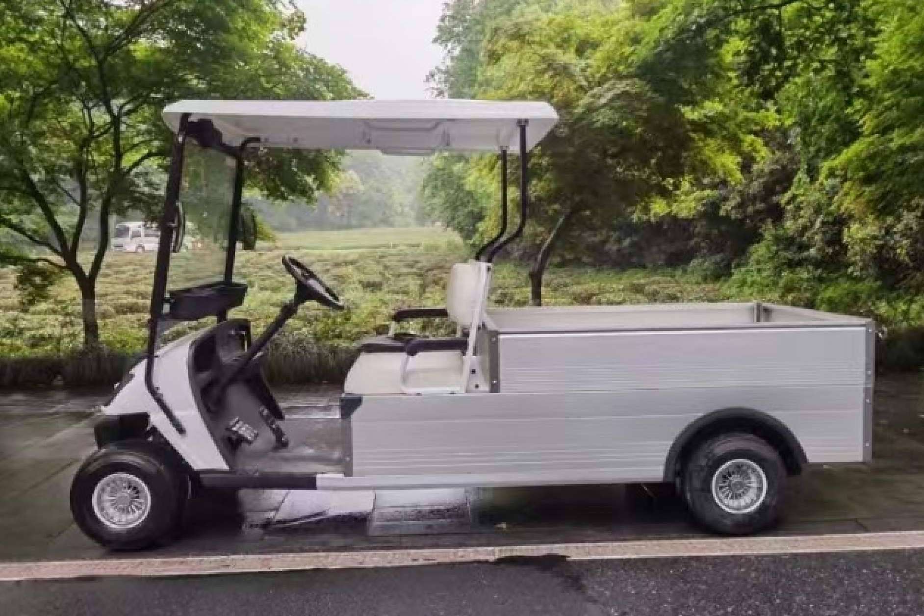 Innovación y calidad en buggies eléctricos con Electric Car Convert