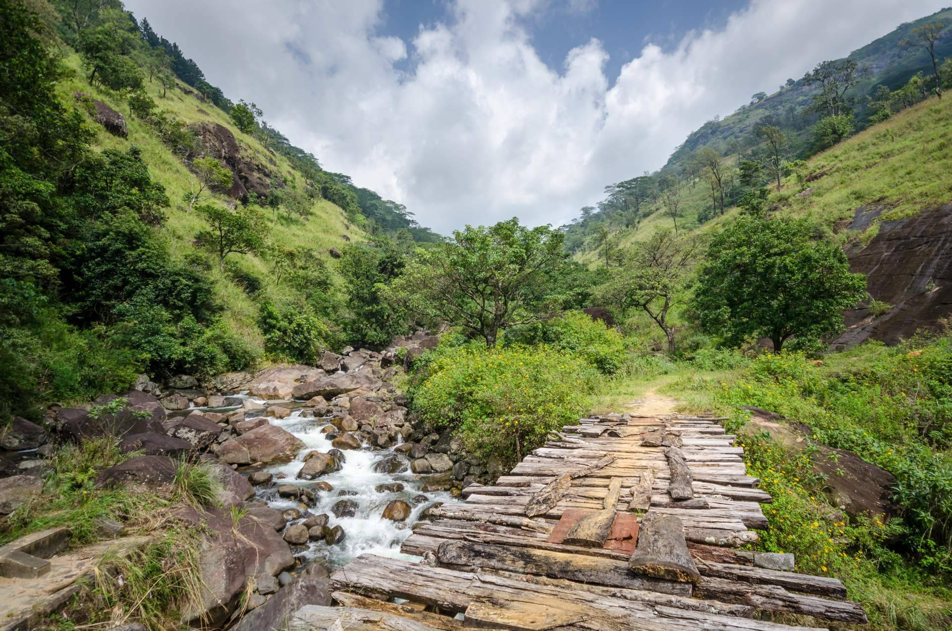Viajes Edén, agencia especializada en viajes a Sri Lanka, recomienda visitar Knuckles