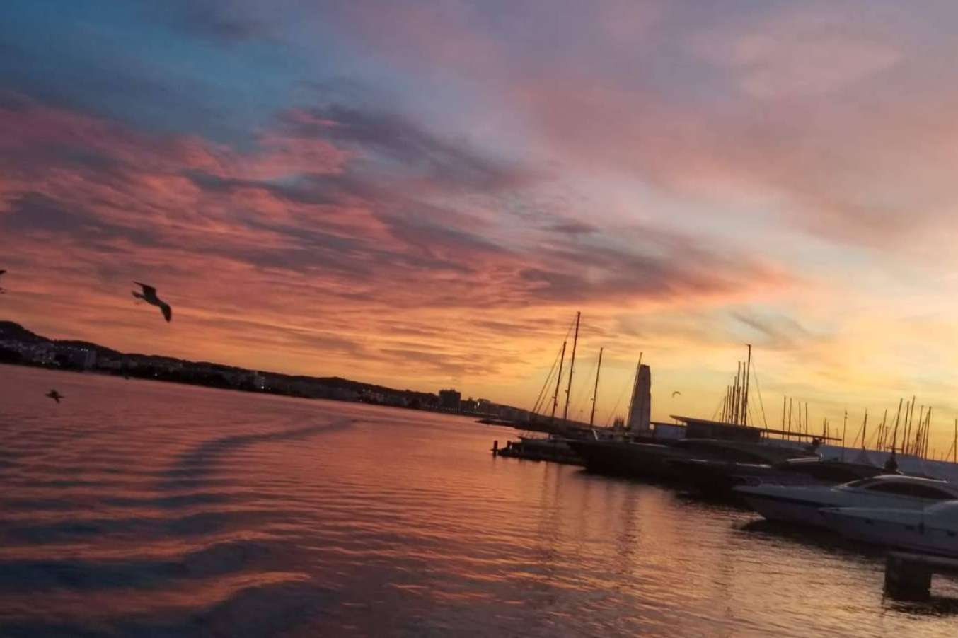 Las actividades más recomendadas para disfrutar de Ibiza durante el verano, por Float Your Boat