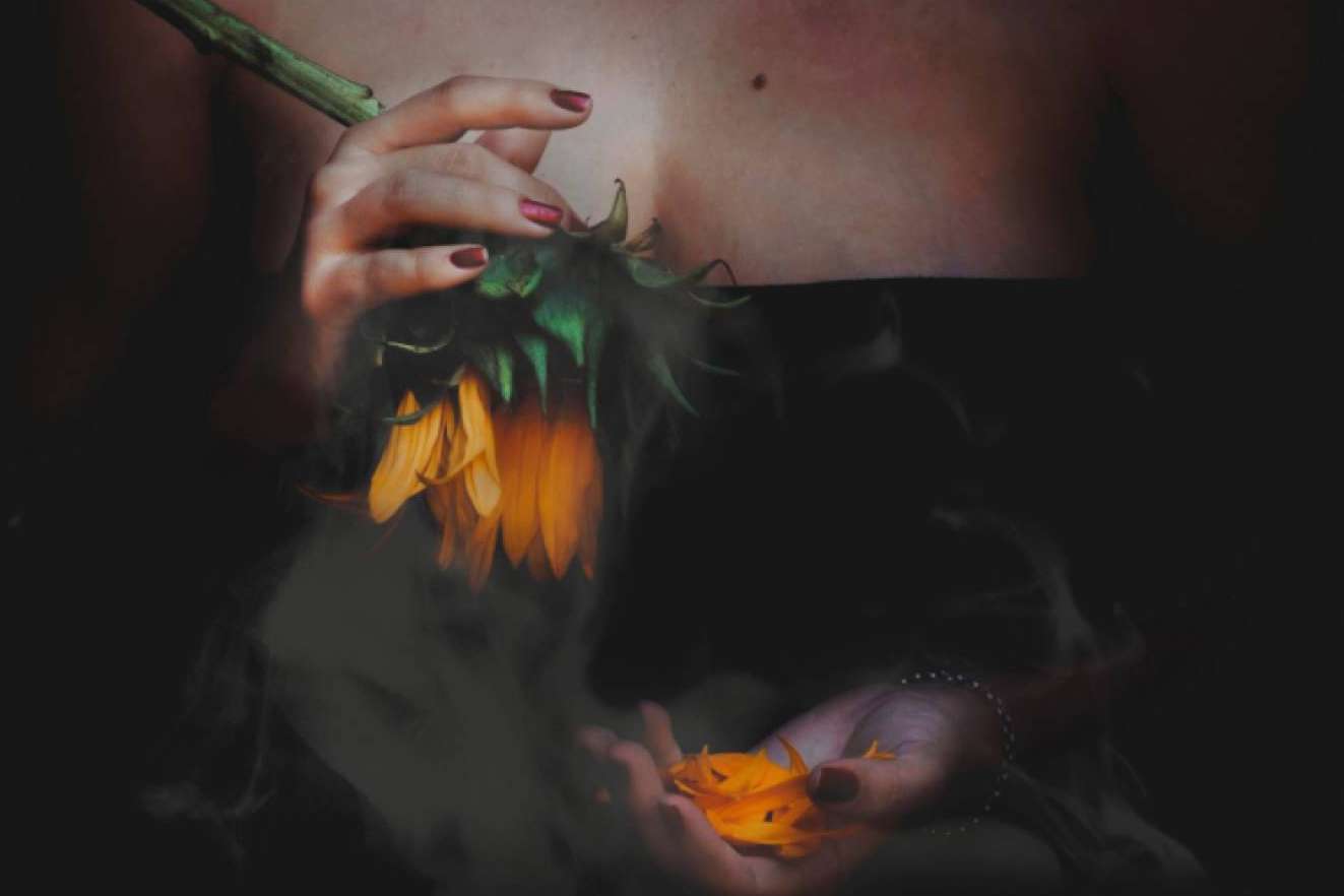 La proyección global del arte cubano, de la mano de GCO Spain