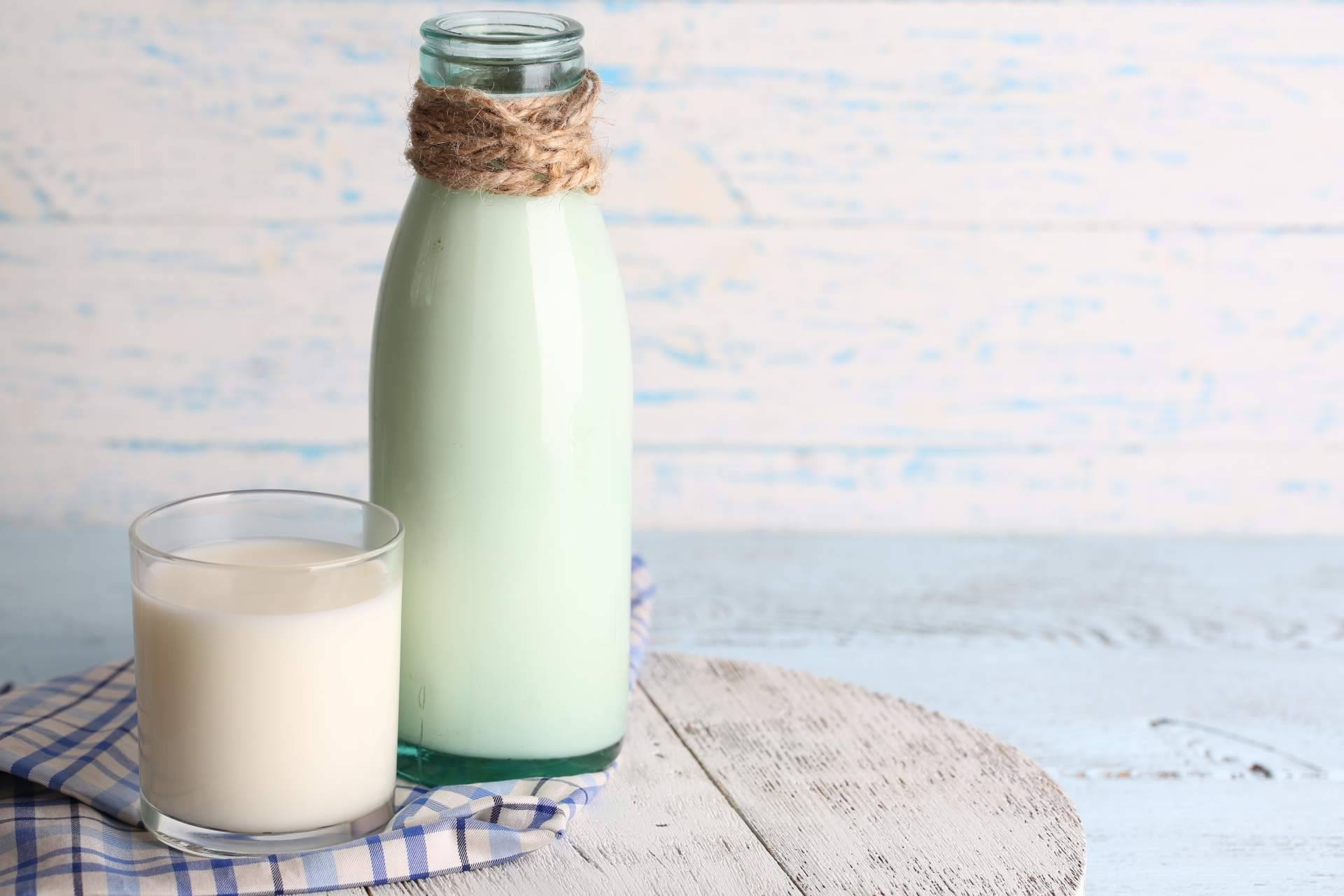 Innovación de fórmulas que maximizan los beneficios de la leche de yegua, con eQuaid