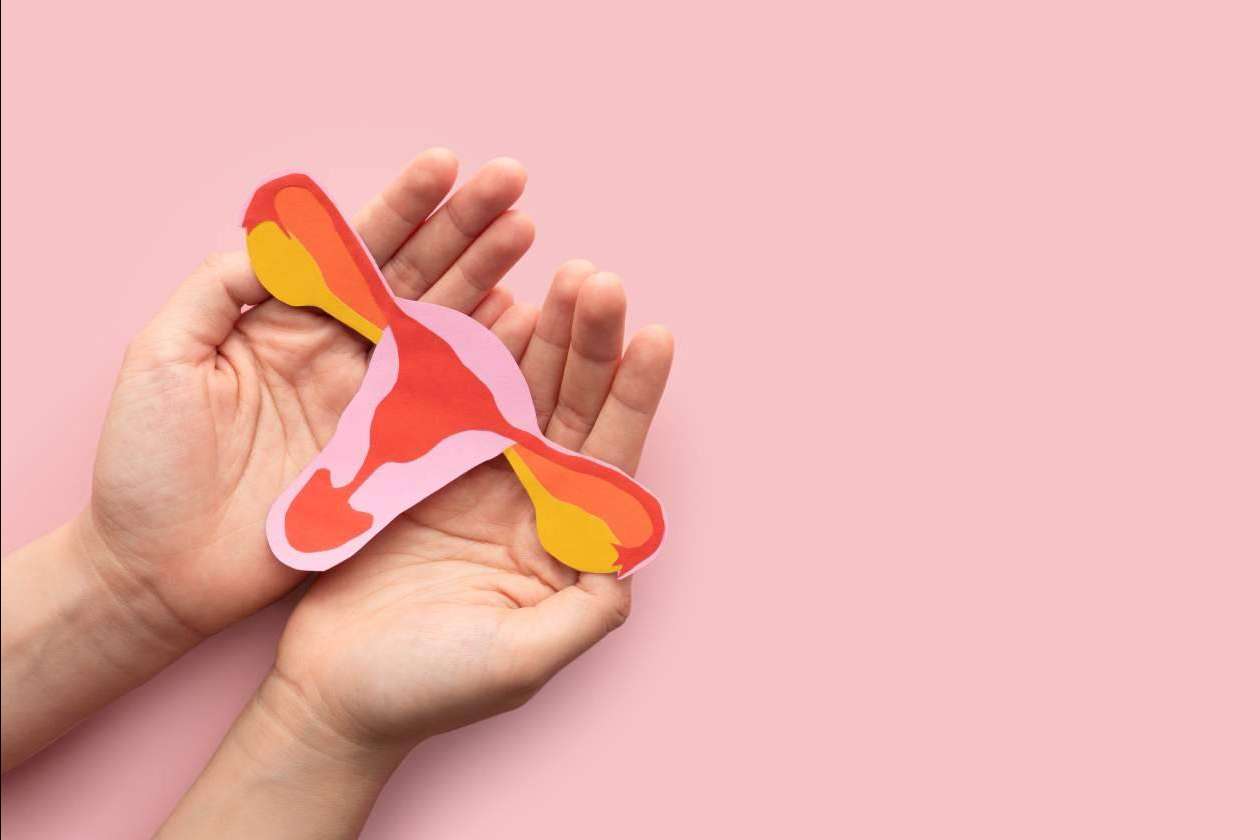 La necesidad de tener un abordaje multidisciplinar para la adenomiosis y endometriosis, por Carmen de Endosofía