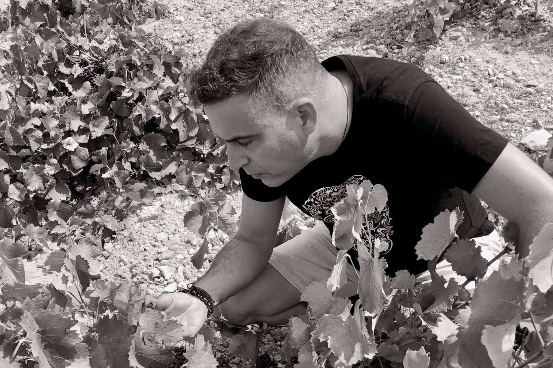 DEMUERTE WINES captura en sus vinos la esencia de la uva Monastrell