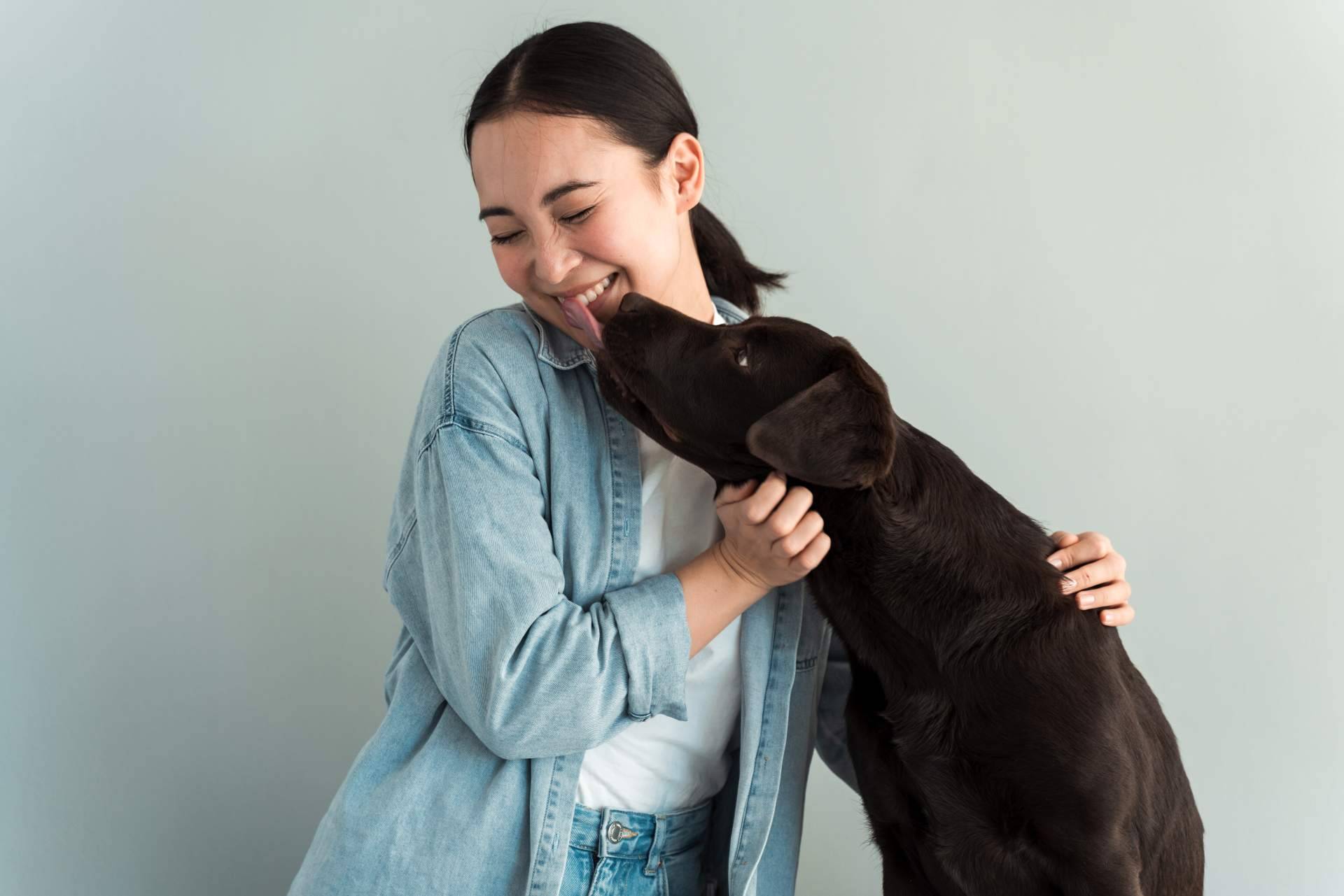 Rompiendo Barreras; el Perro Feliz facilita el ingreso al emprendimiento