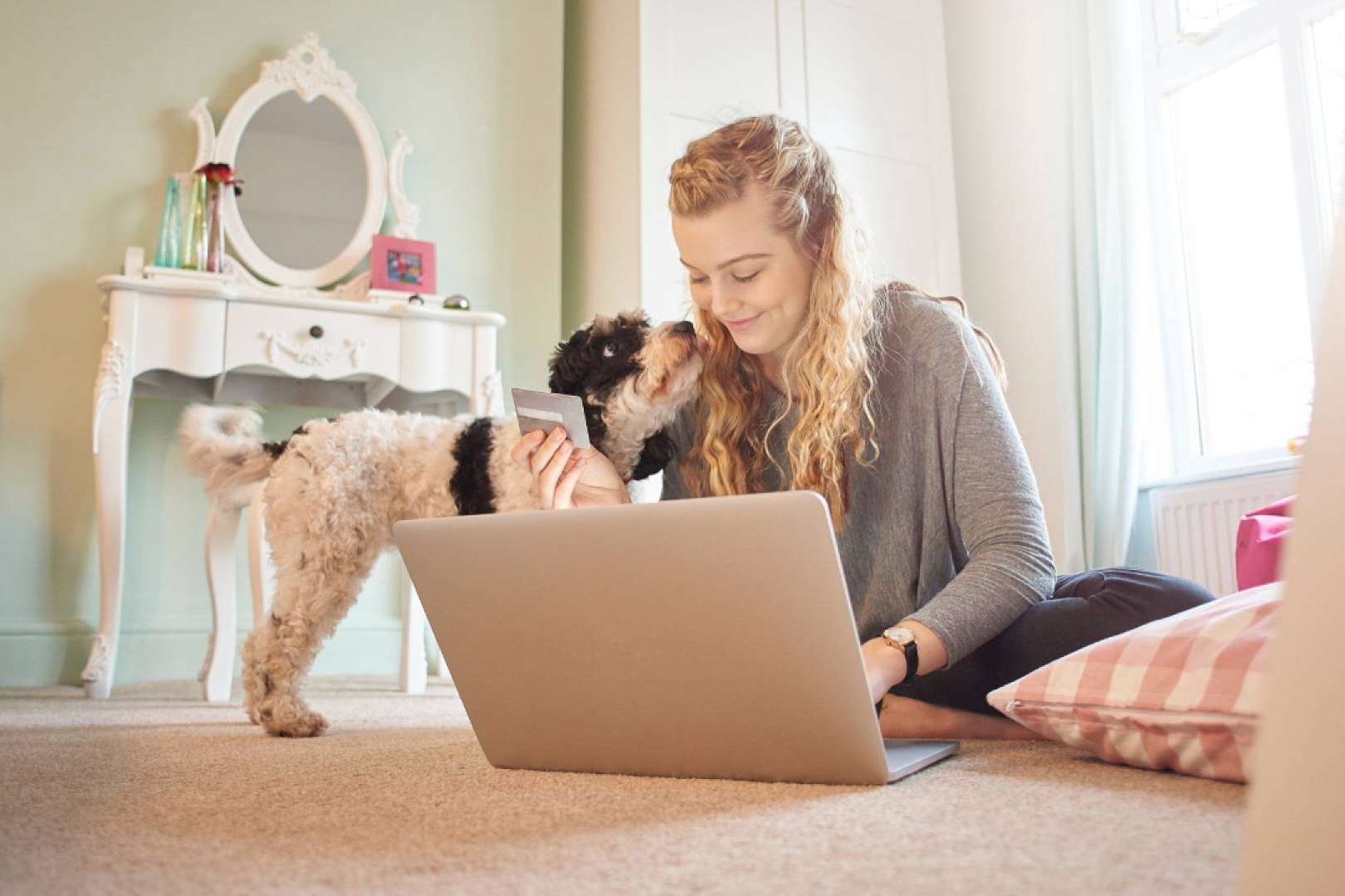 Seguros personalizables para mascotas disponibles en Ucoga