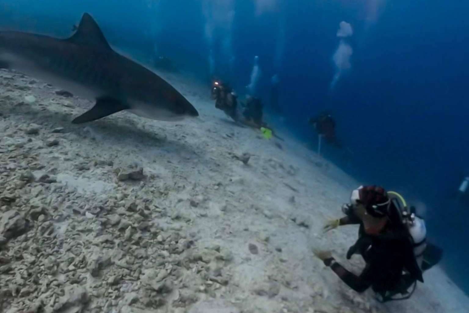 Experiencias de buceo en las islas Maldivas, de manos de Drop Dive Maldives