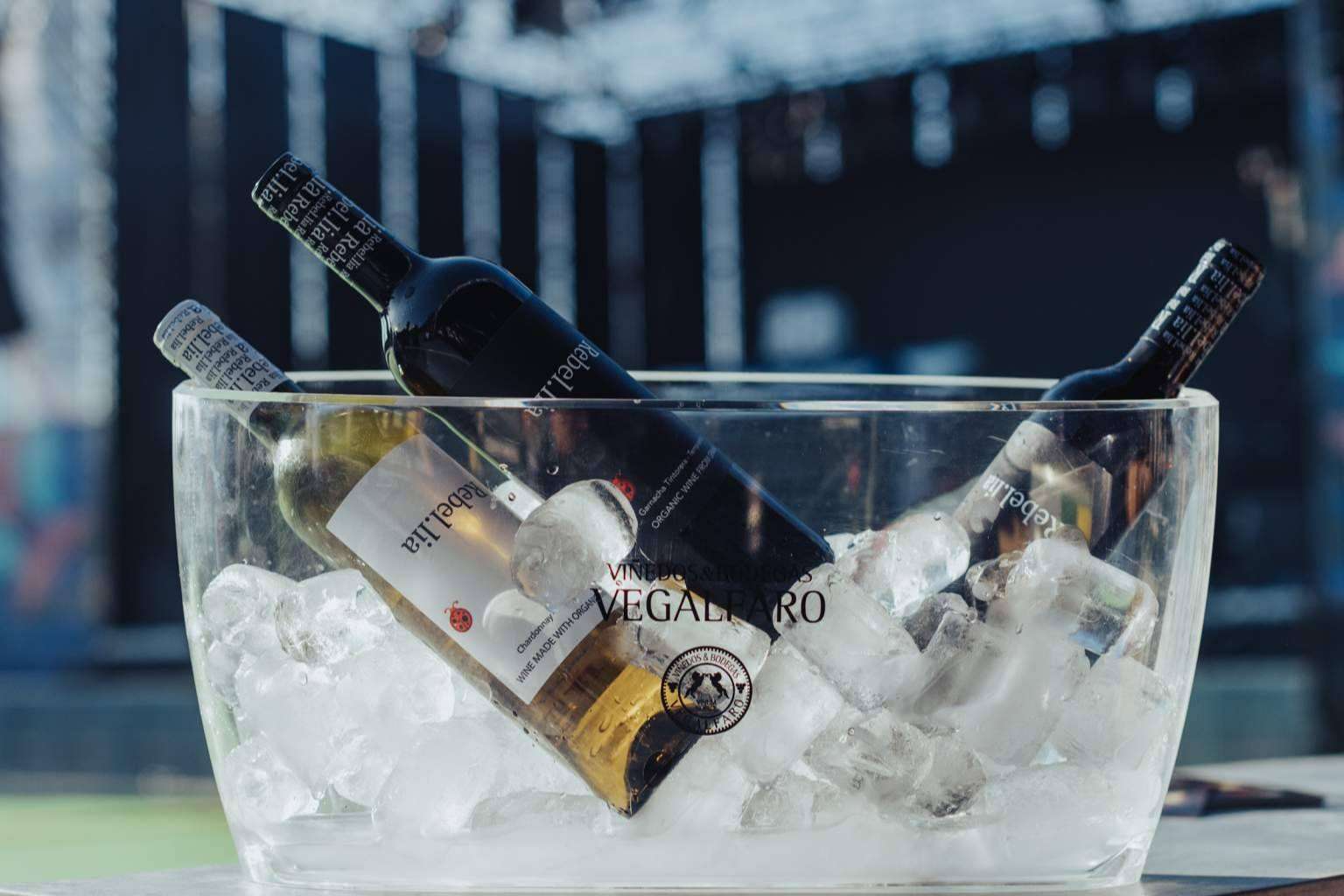 Vino y música; la armonía perfecta para una experiencia inolvidable con el vino Rebel.lia