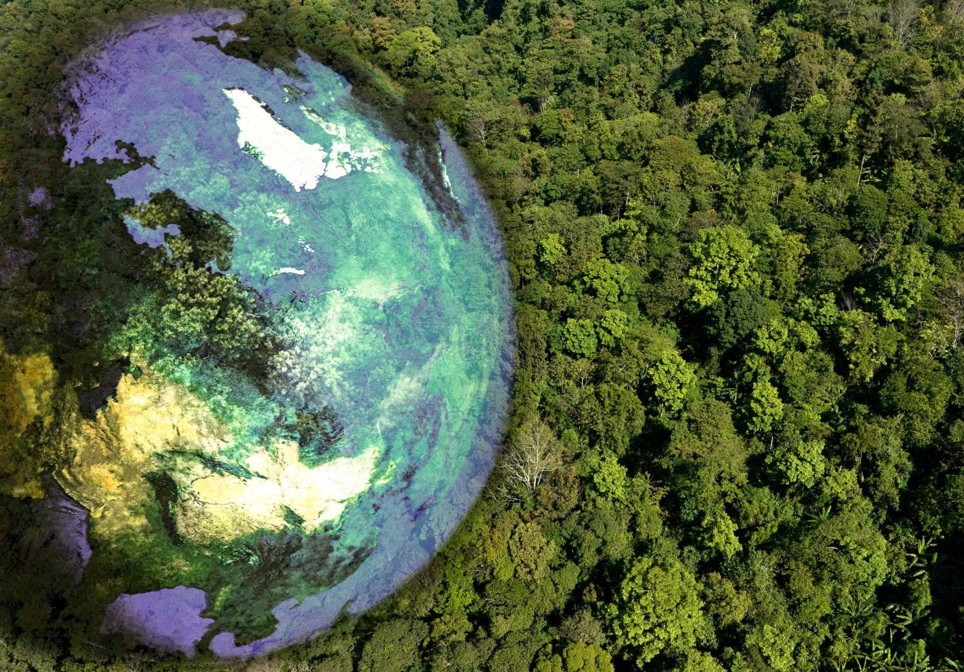 Ecológico + Medio Ambiente = Salud! La fórmula del Bienestar de Grattitude.es