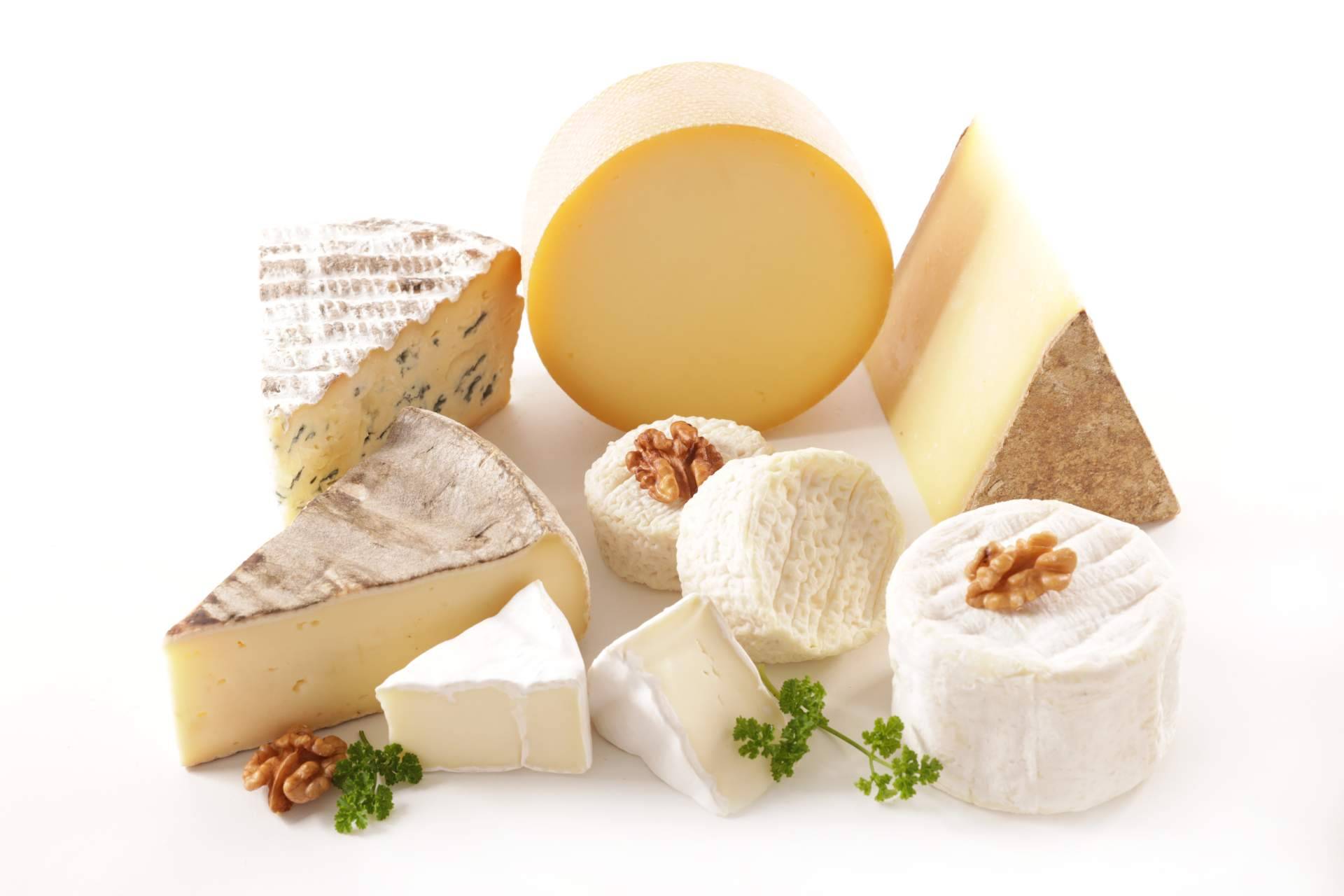 Cata de Queso; Una Experiencia Única en Albacete