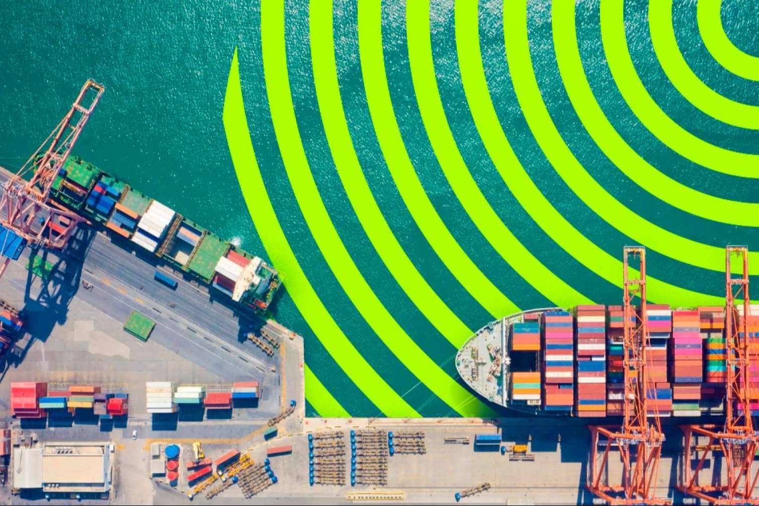 ¡Celebrar el Día Mundial del Medio Ambiente con Eccologistics!