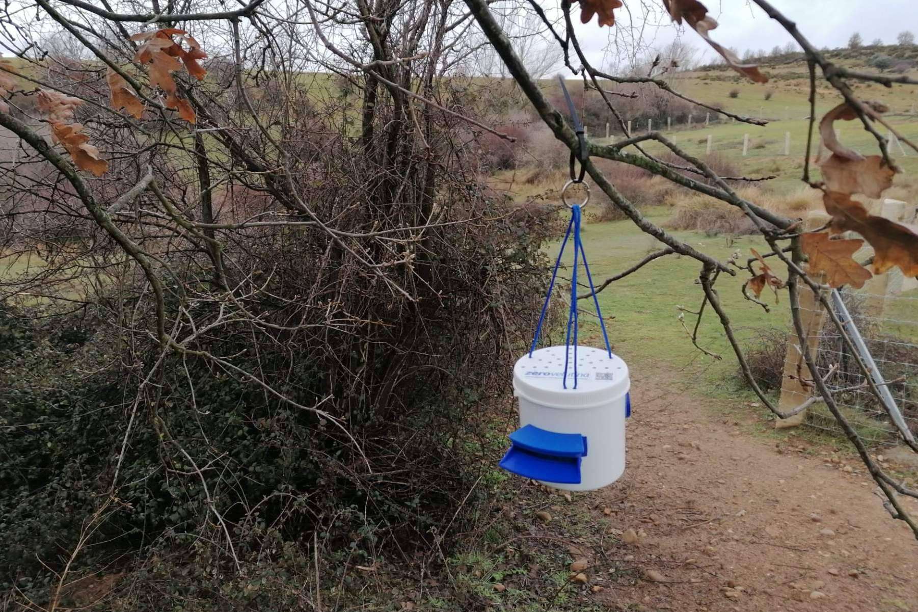 ZeroVelutina ha creado una nueva solución para el problema de las avispas velutinas en España
