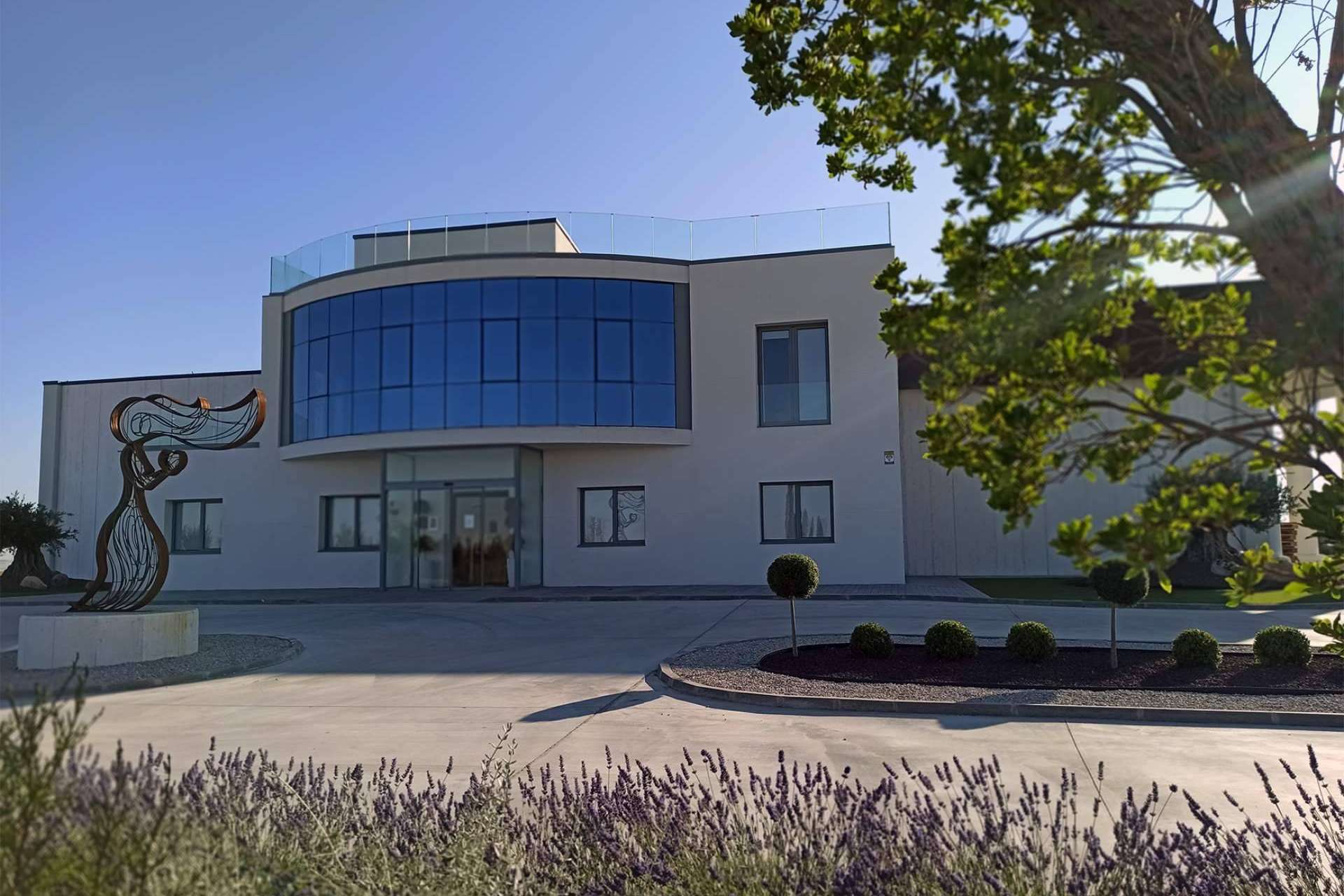 Bodegas Pandora fusiona tradición, pasión e innovación al servicio de la excelencia vinícola 