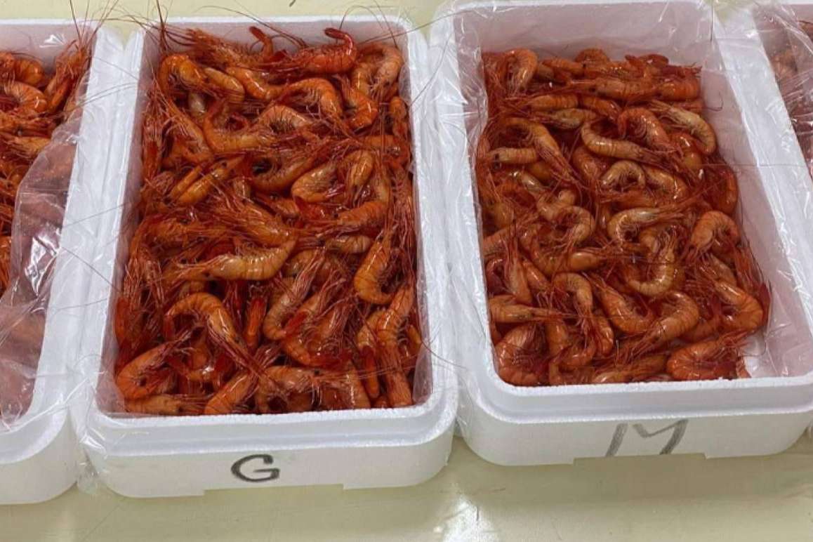 Farodapalloza, una tienda online donde encontrar exclusivos frutos del mar