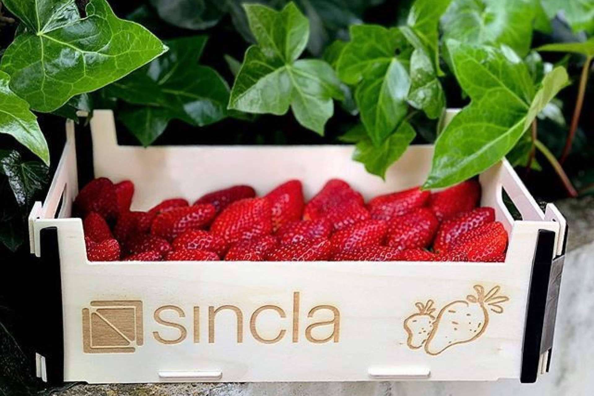 Cajas de madera sin tapa, el toque natural para la organización