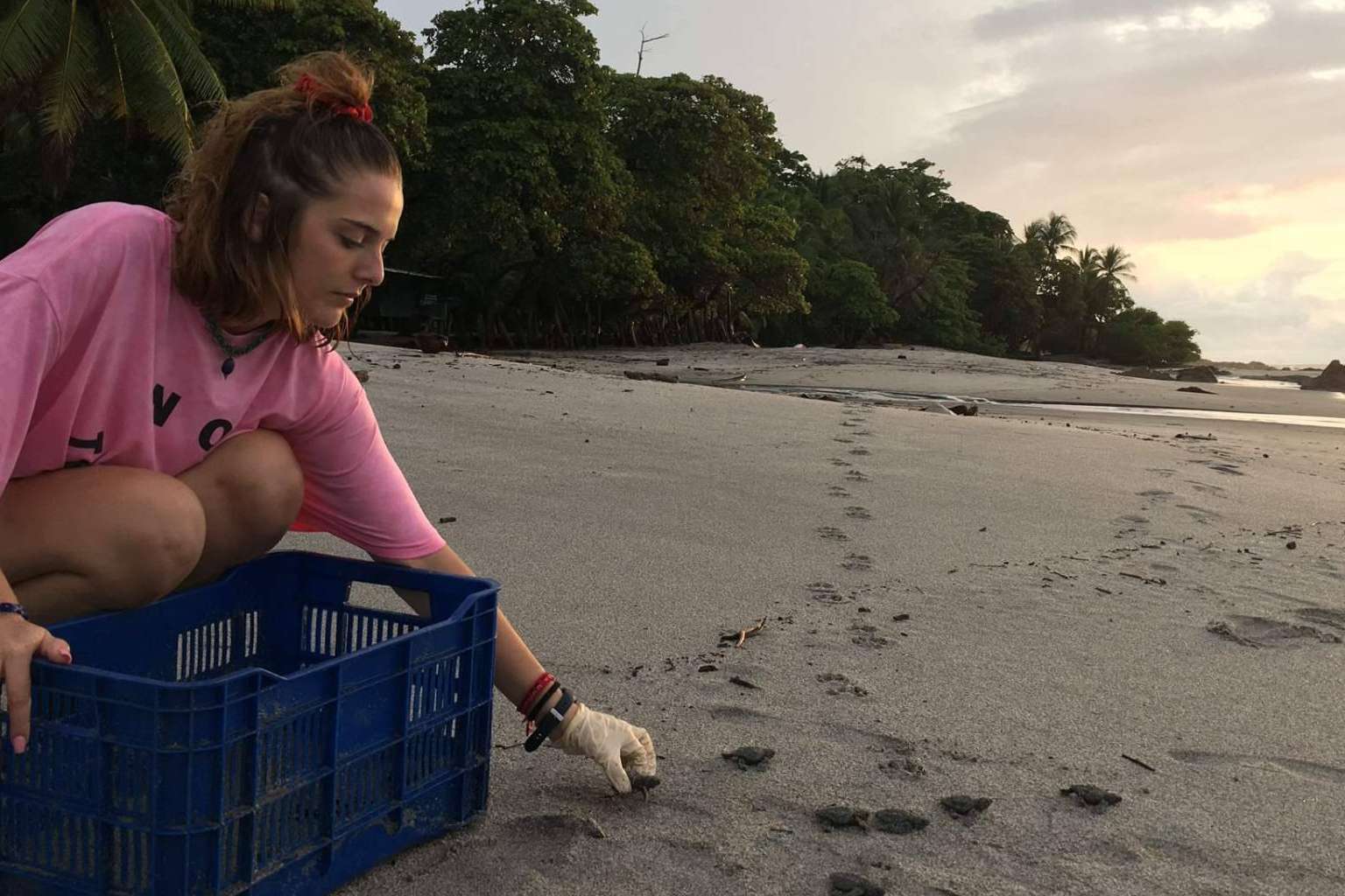 Cooperatour permite acceder a programas de voluntariado con animales en múltiples destinos