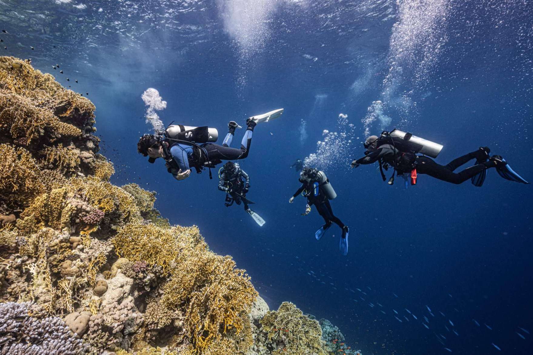 Scuba Finders; La start up tecnológica que revoluciona el mundo del buceo