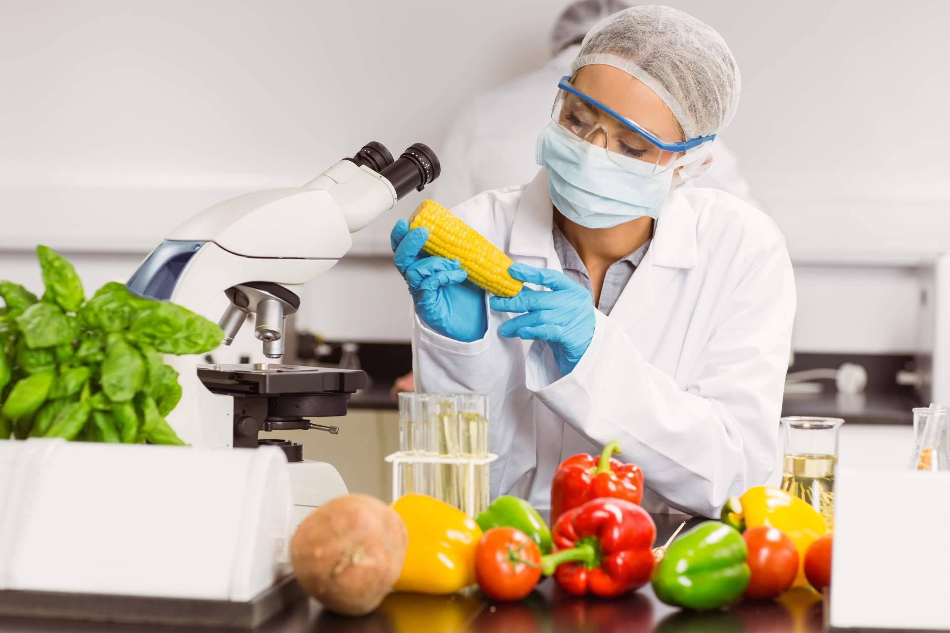 Ingade cuenta con un equipo de especialistas en seguridad alimentaria para acreditar normativas aprobadas por la GFSI