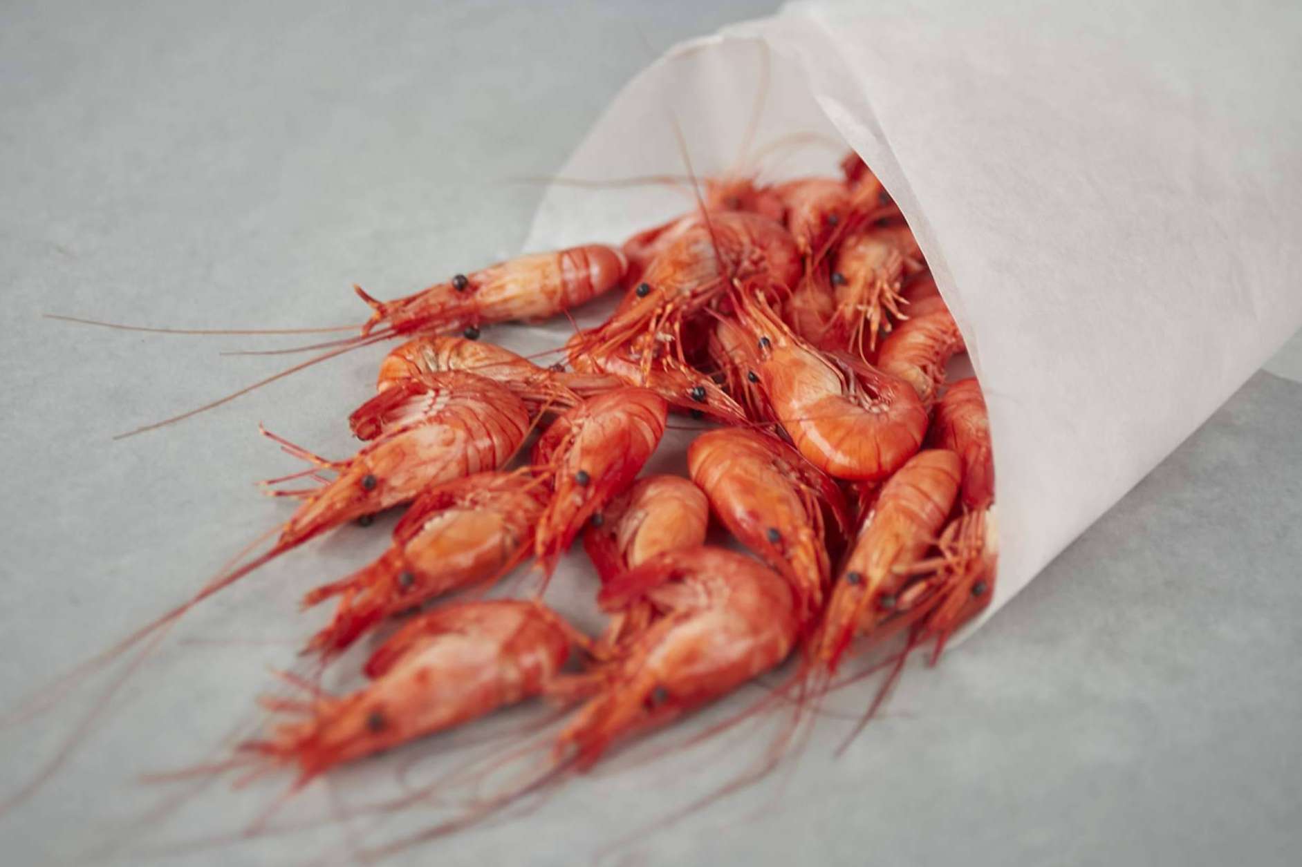 SINESCAMA ofrece la posibilidad de disfrutar del pescado y marisco gallego en cualquier parte de la Península