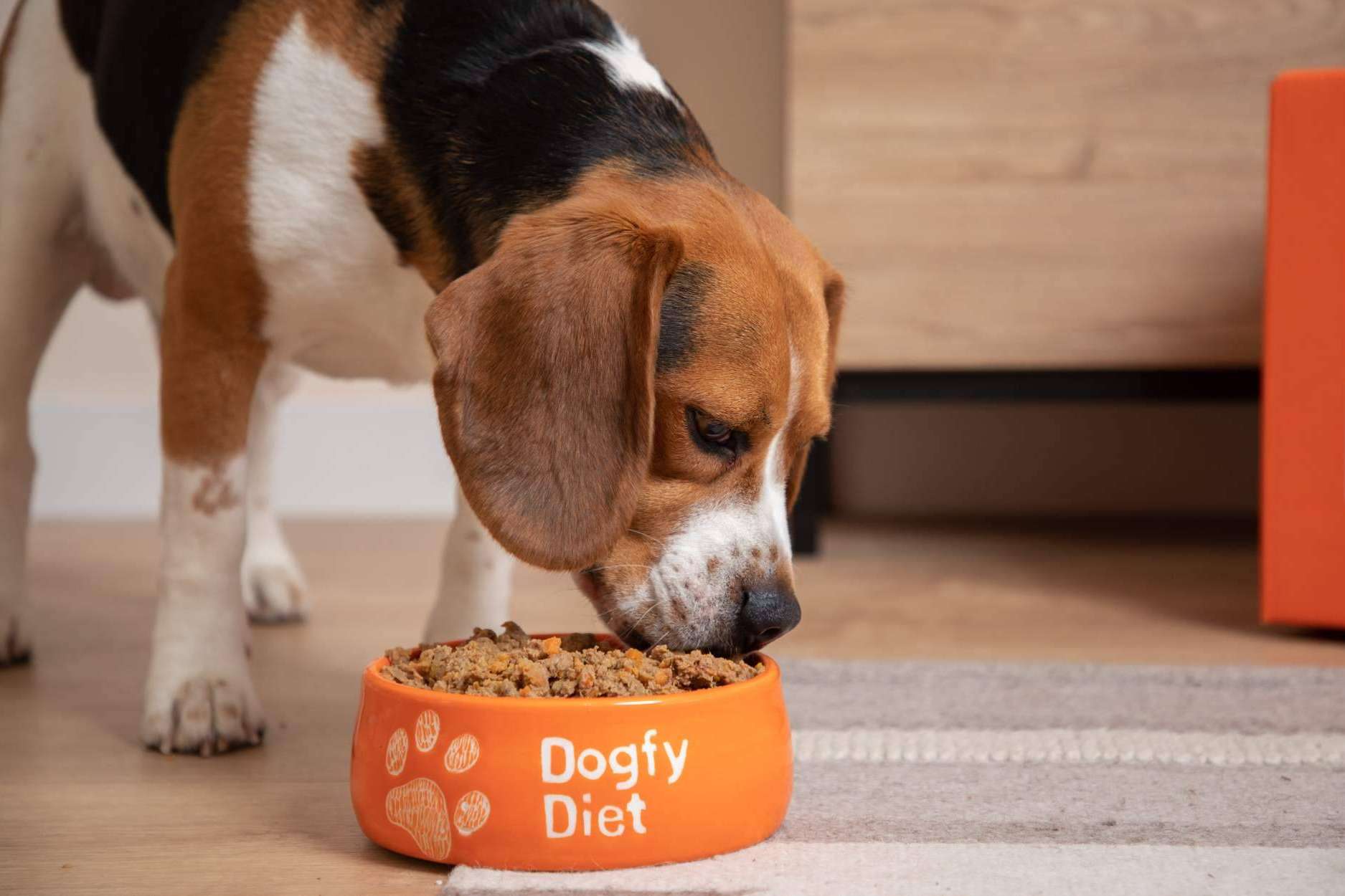 Dogfy Diet, comida natural que cubre las necesidades nutricionales de un perro