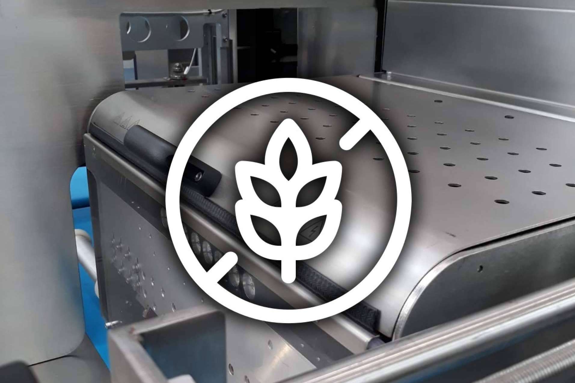 Innovaciones en envasado para productos sin gluten; Garantizando frescura y seguridad