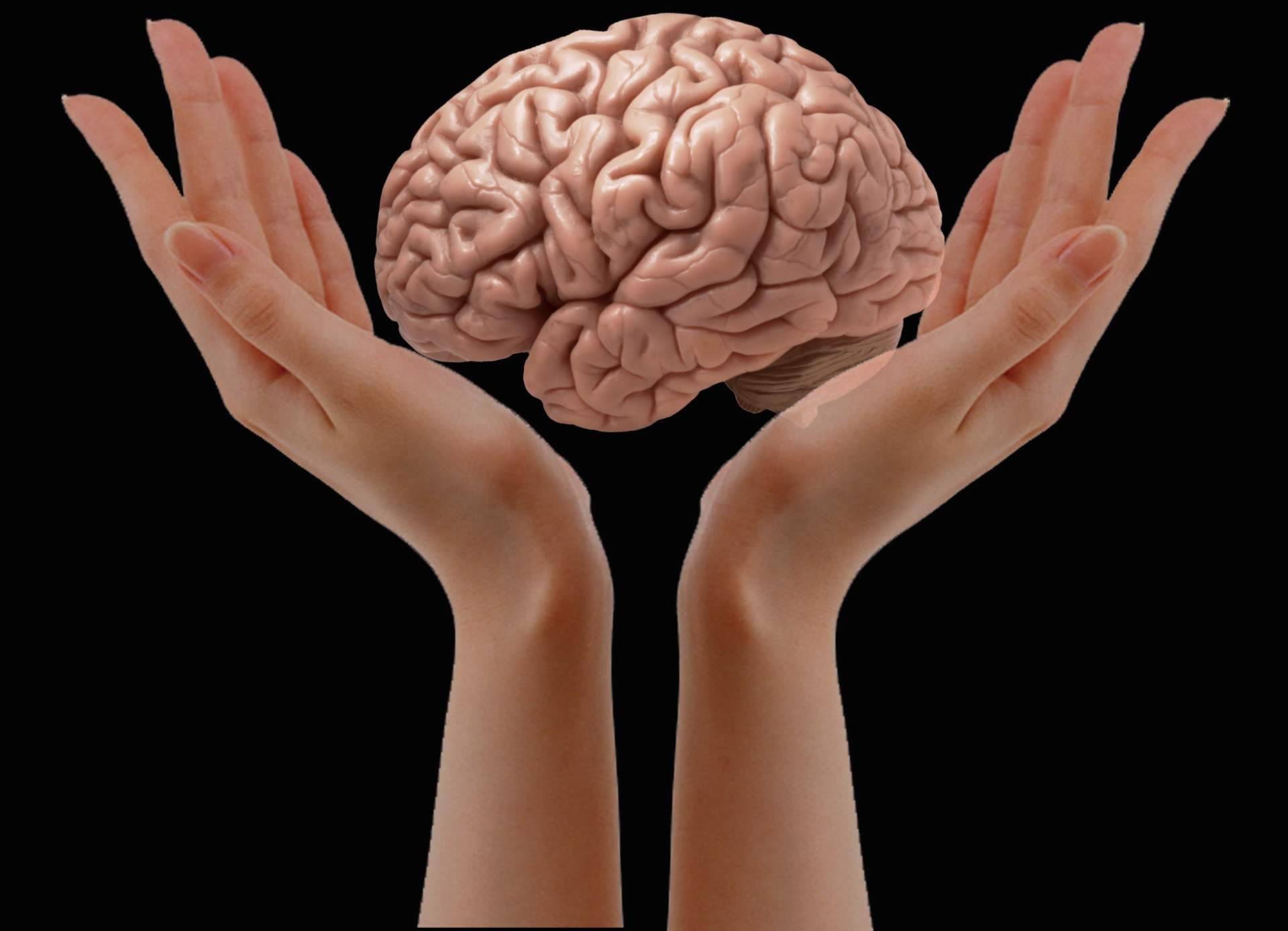 INIMA Rehabilitación ofrece servicios de neurorrehabilitación a domicilio con un enfoque personalizado