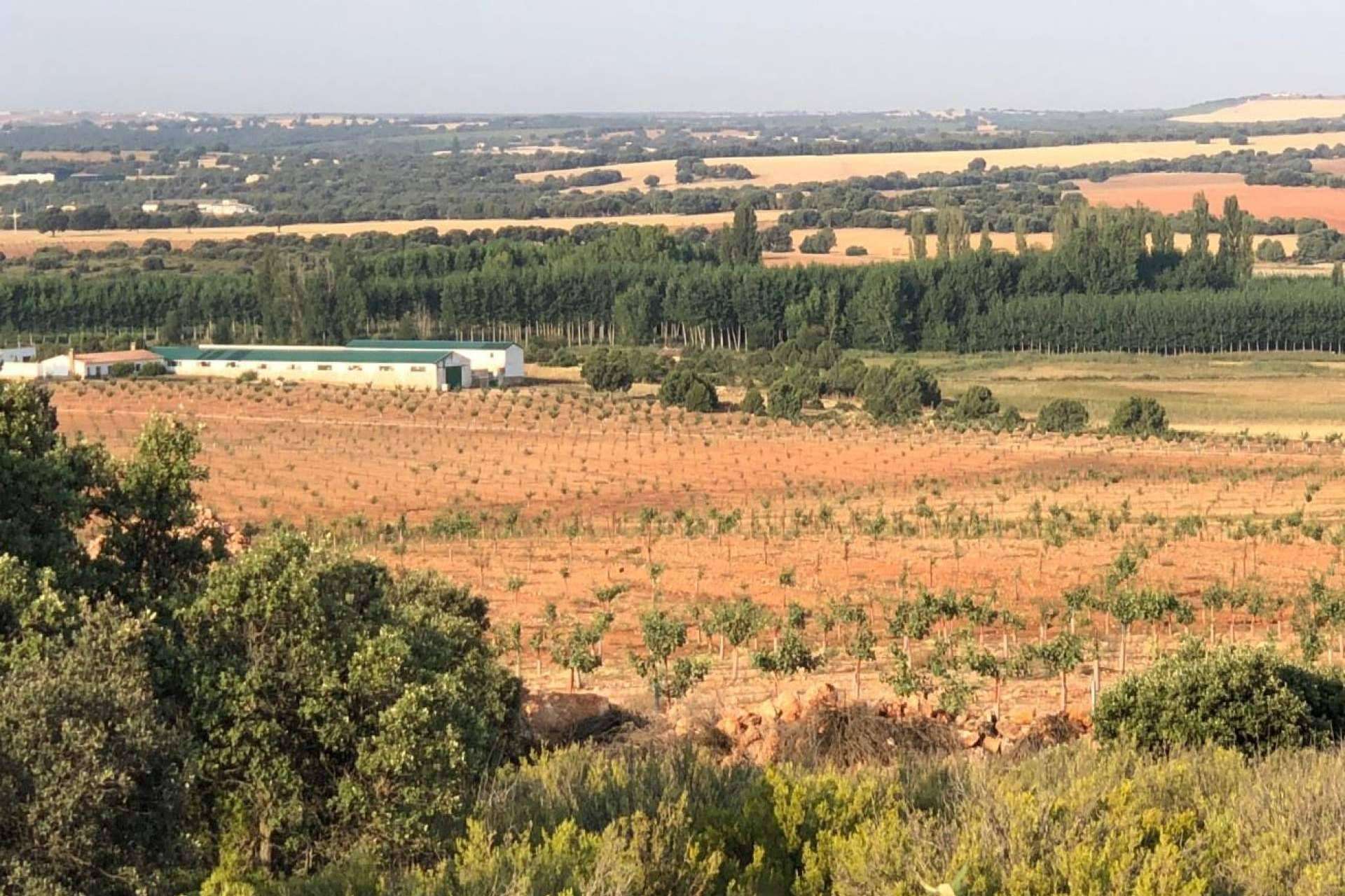 A la venta una unidad productiva agrícola en Alcaraz (Albacete) valorada en 2.800.000 €