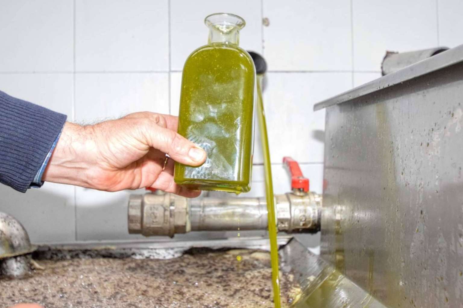 Principales diferencias entre el aceite de oliva sin filtrar y el filtrado, por Tercio de las Torres