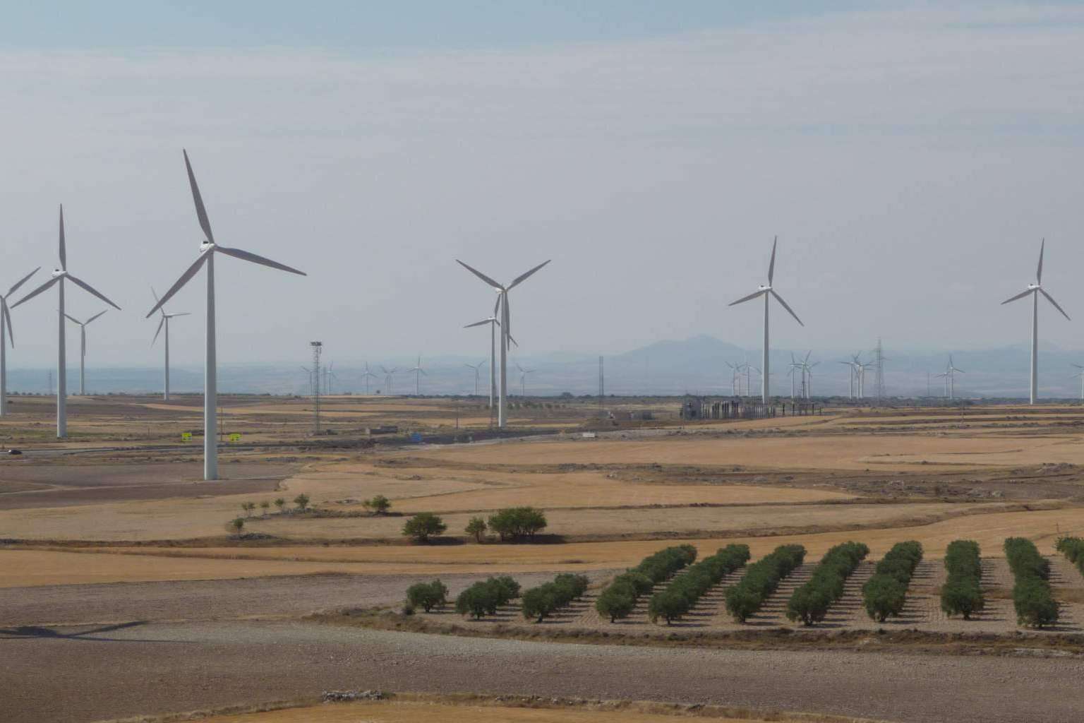 Mantenimiento y gestión en el ámbito de las energías renovables, por BayWa r.e.