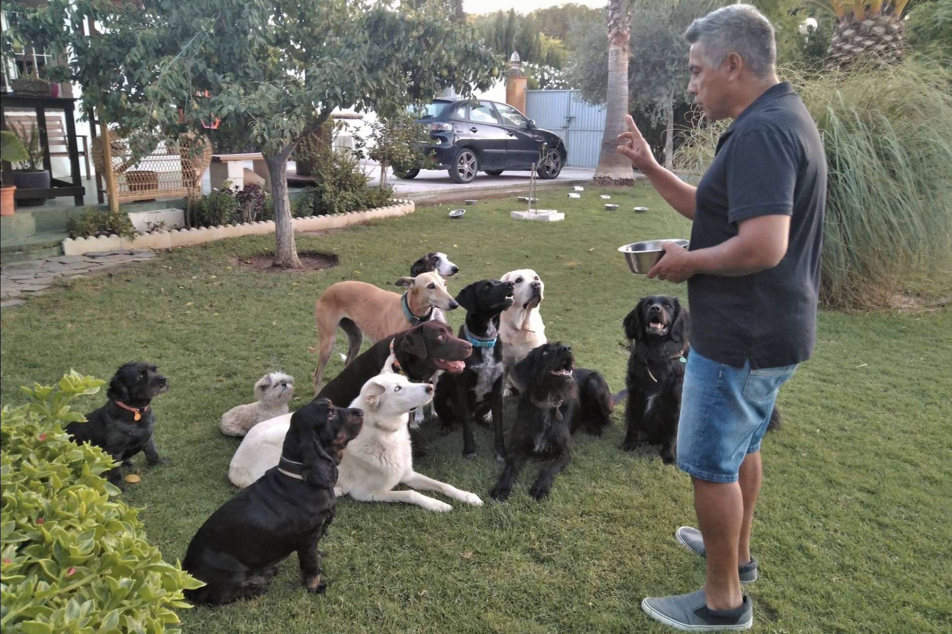 4EverDogs inicia un curso de educación canina centrado en el Método Natural Leading