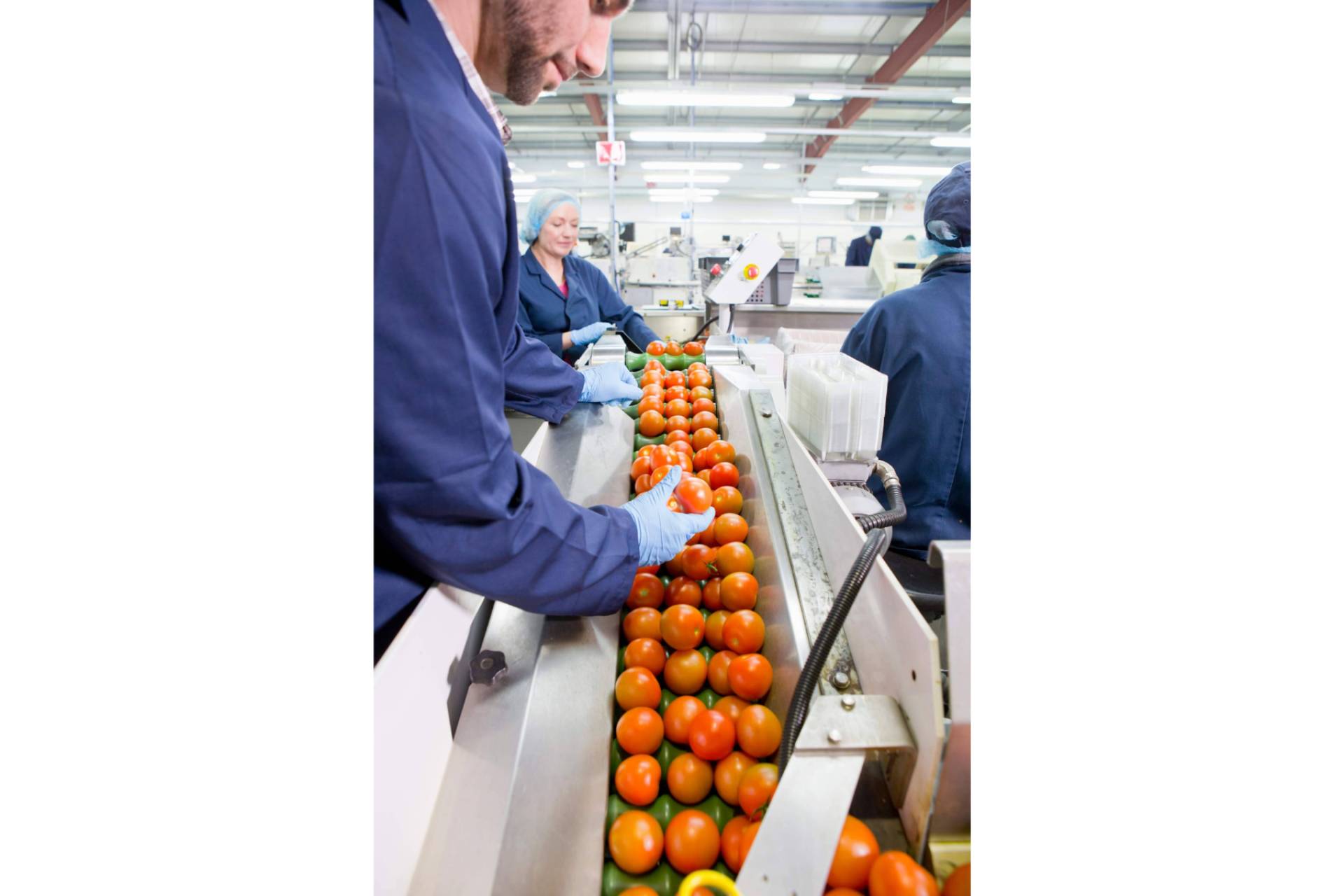 Nueva planta de Baor Products en Molina de Segura; la apuesta para diversificar su catálogo en 2025