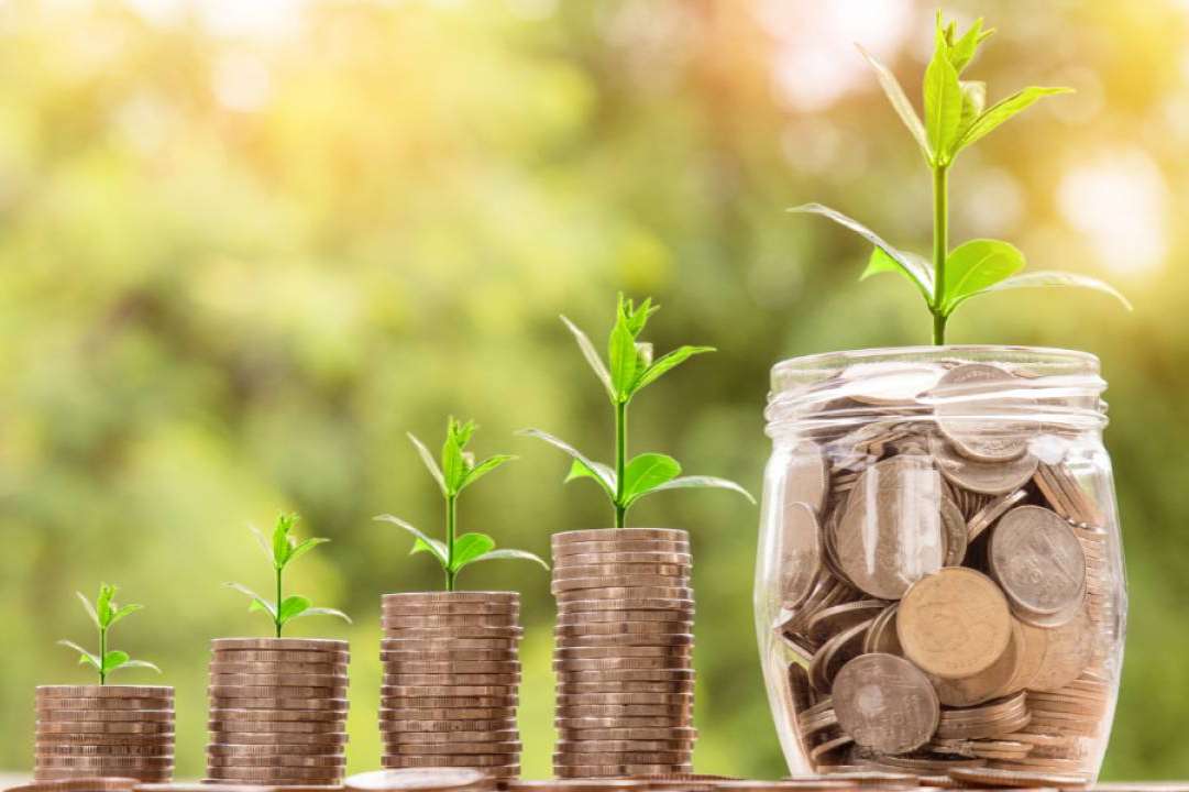 ¿Por qué es importante reducir el IVA en la biomasa? Un alivio necesario para la energía sostenible y económica