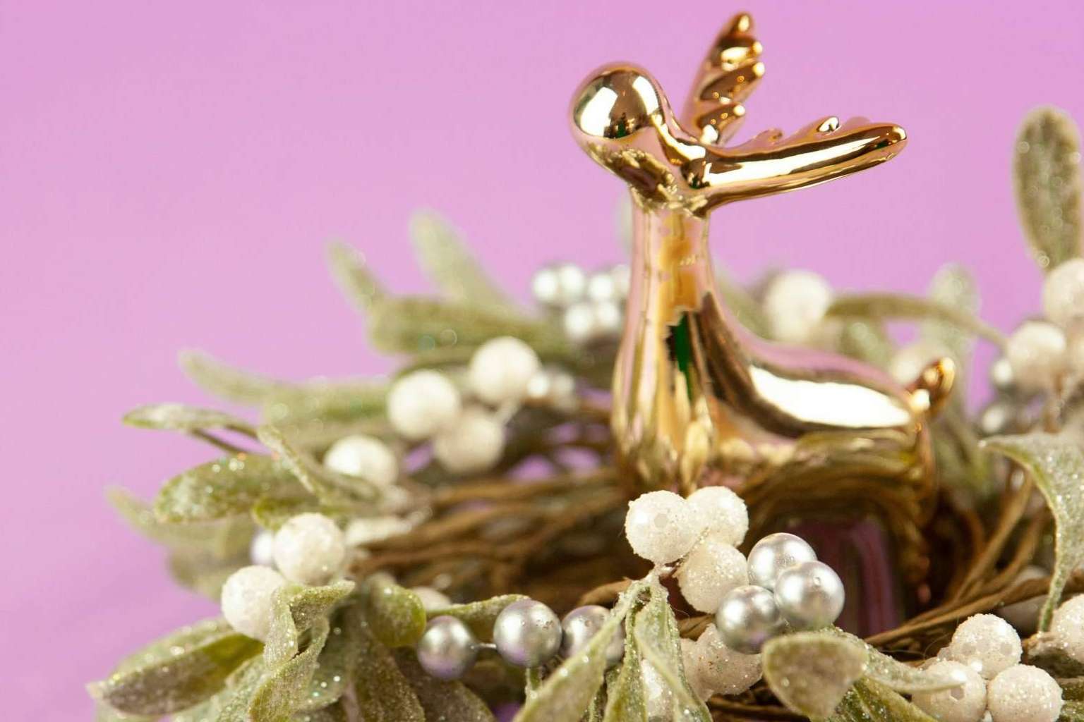 El muérdago, símbolo de renovación y prosperidad, protagoniza un ritual para recibir el Año Nuevo en armonía