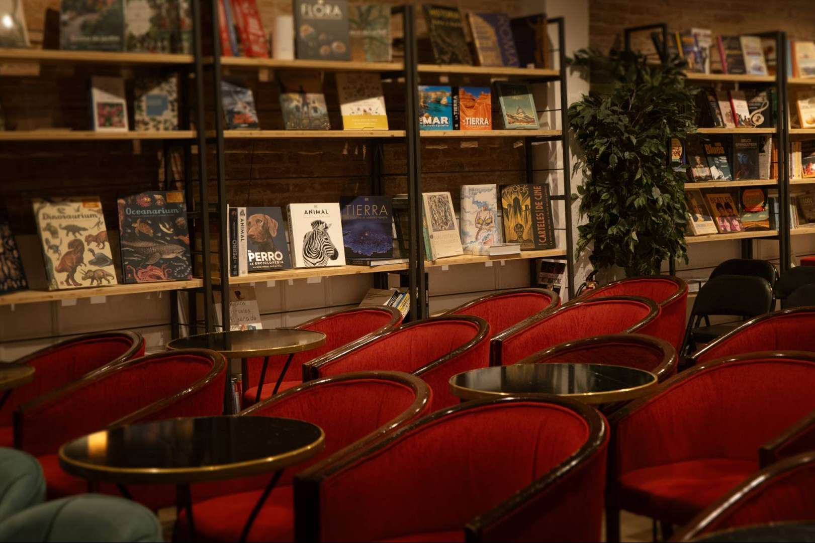 Byron Librería se consolida como sala de referencia para conciertos y música en vivo en Barcelona