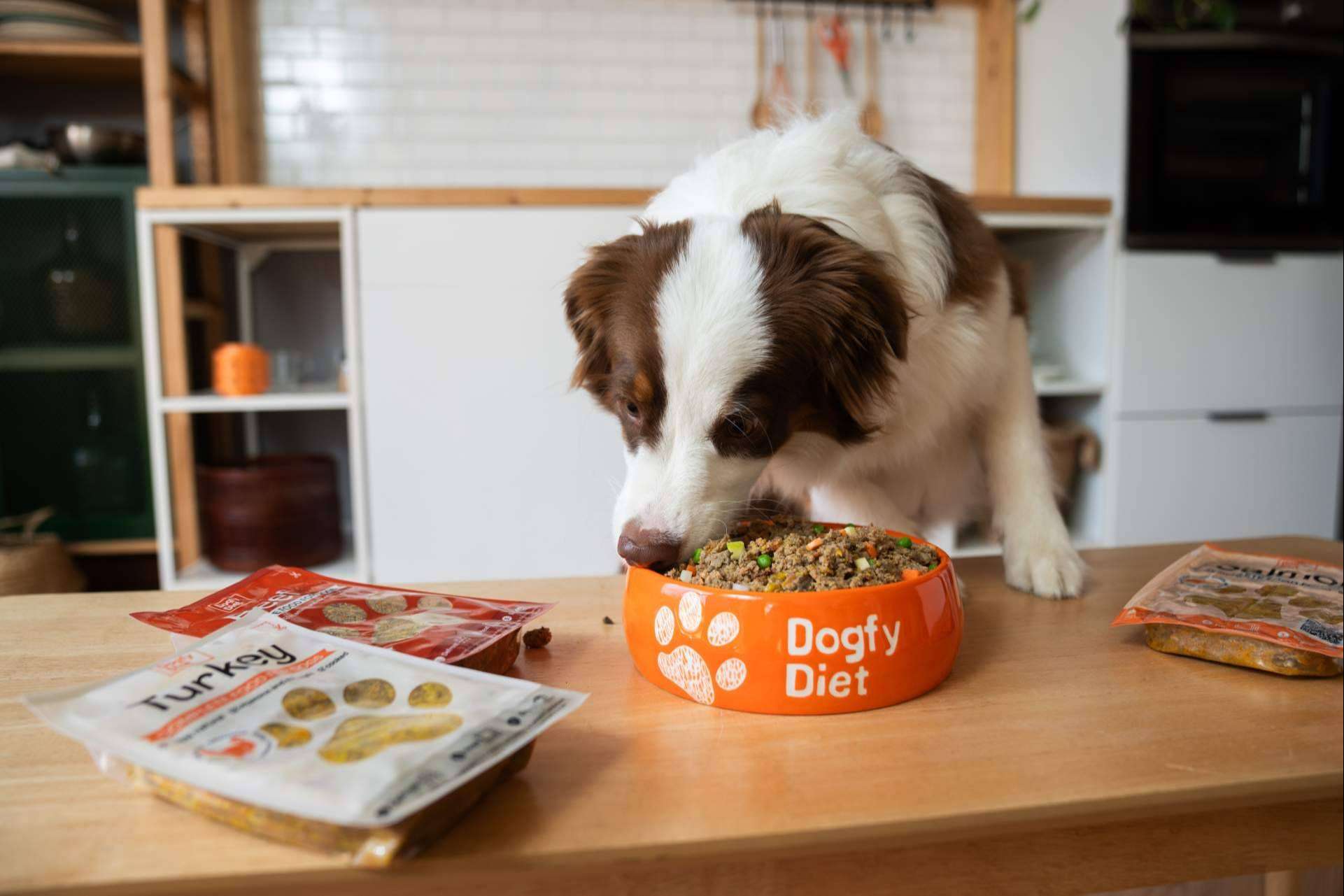 Tendencias en alimentación natural para perros; una revolución hacia la salud y sostenibilidad