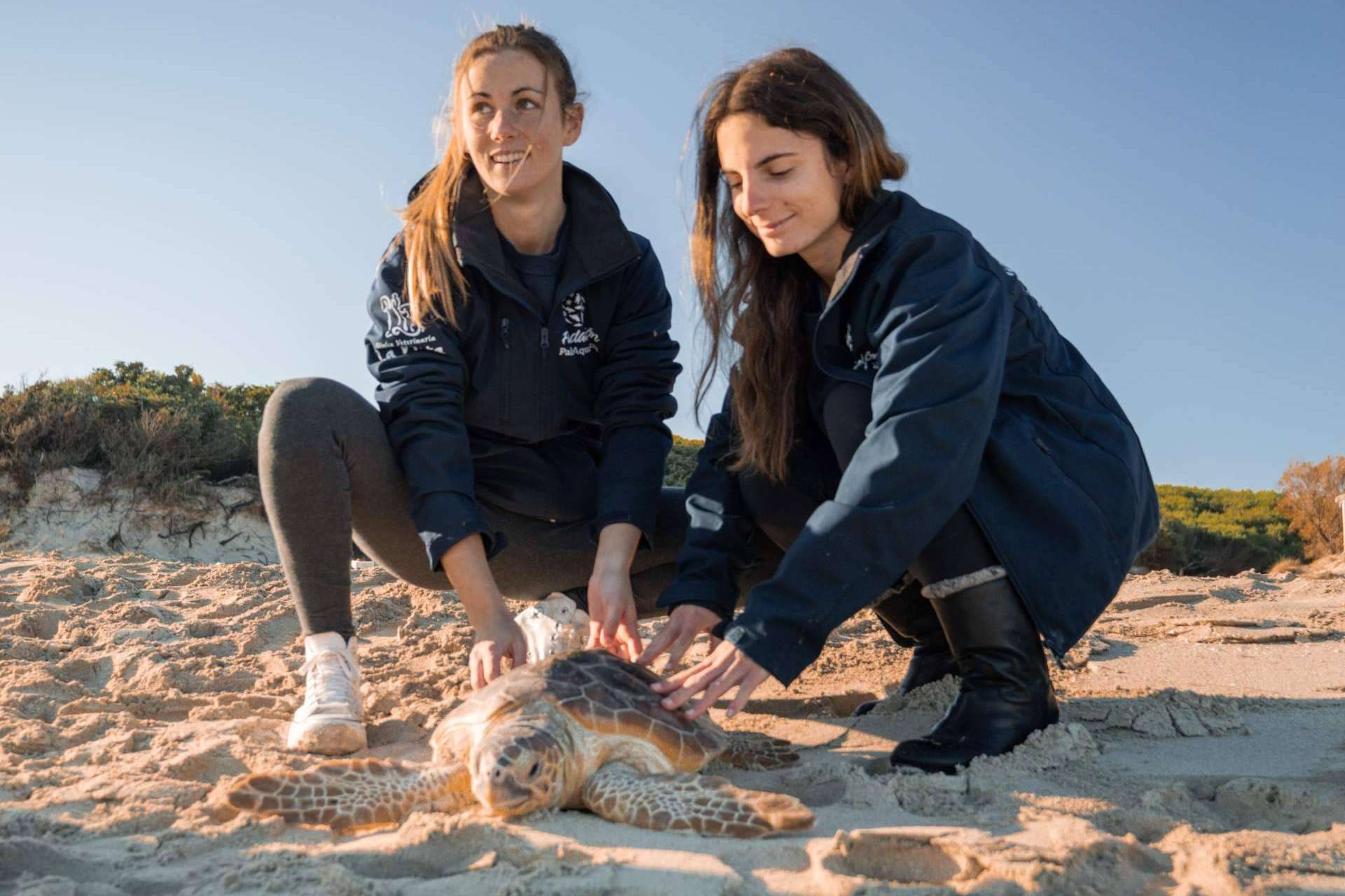 Palma Aquarium lanza ‘Som de la Mar’ con una fiesta benéfica y una programación especial cada mes