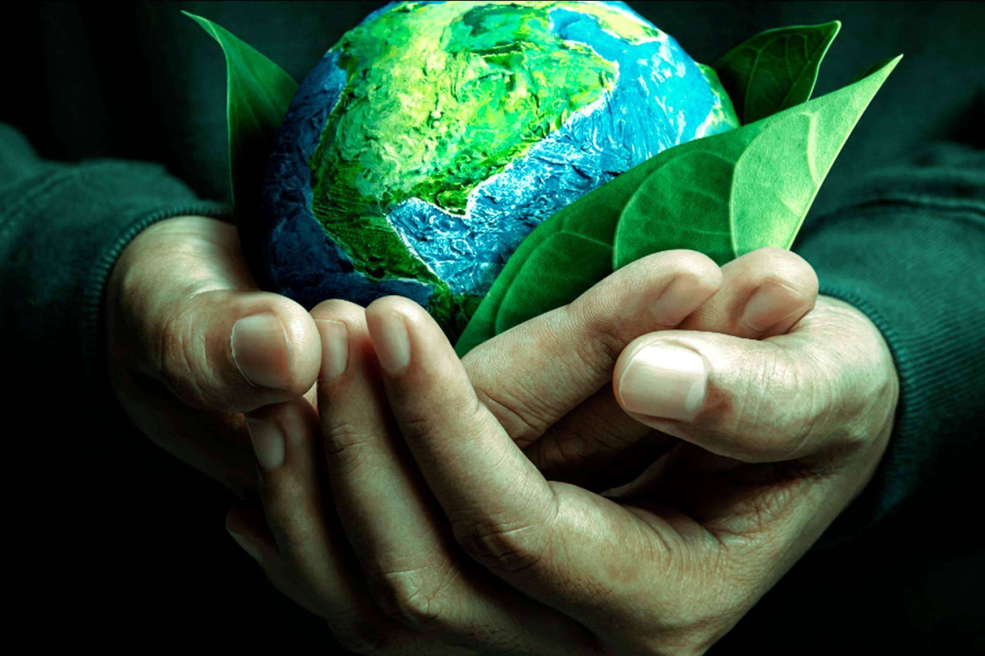 Garantías de Origen, una oportunidad clave para empresas que buscan energía verde