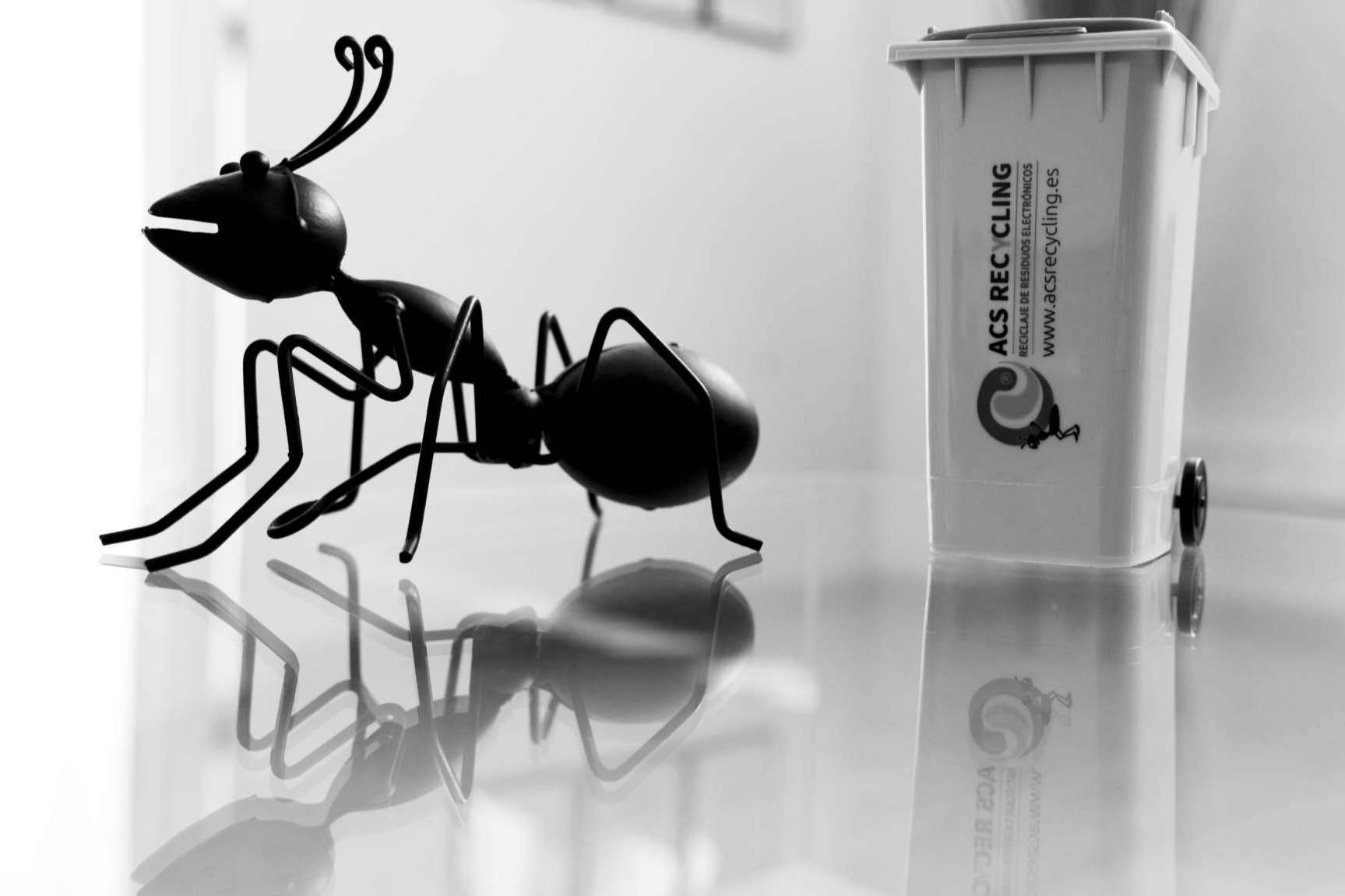 Impacto de los residuos electrónicos en la biodiversidad terrestre; el compromiso de ACS Recycling con la eficiencia energética