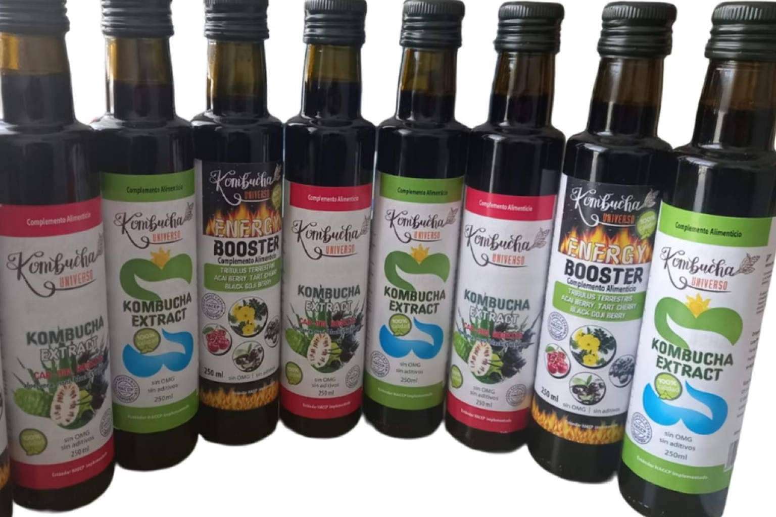 Proceso artesanal y alta concentración definen los extractos de Kombucha de Kombucha Universo