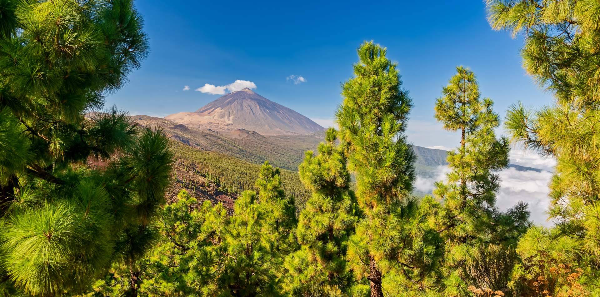 Canarias.com amplía su propuesta de excursiones Tenerife con experiencias adaptadas a todos los perfiles