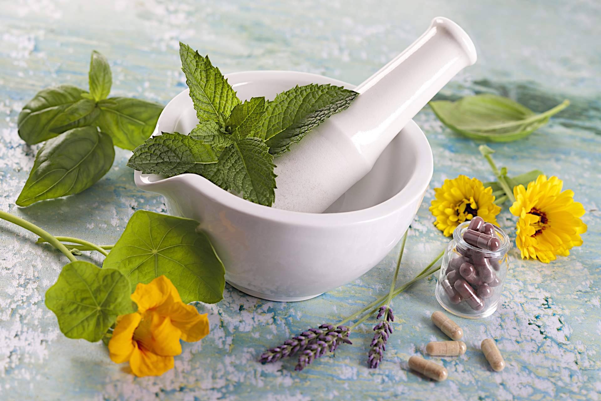 Formarse en Naturopatía, con Fortalecimiento Vital