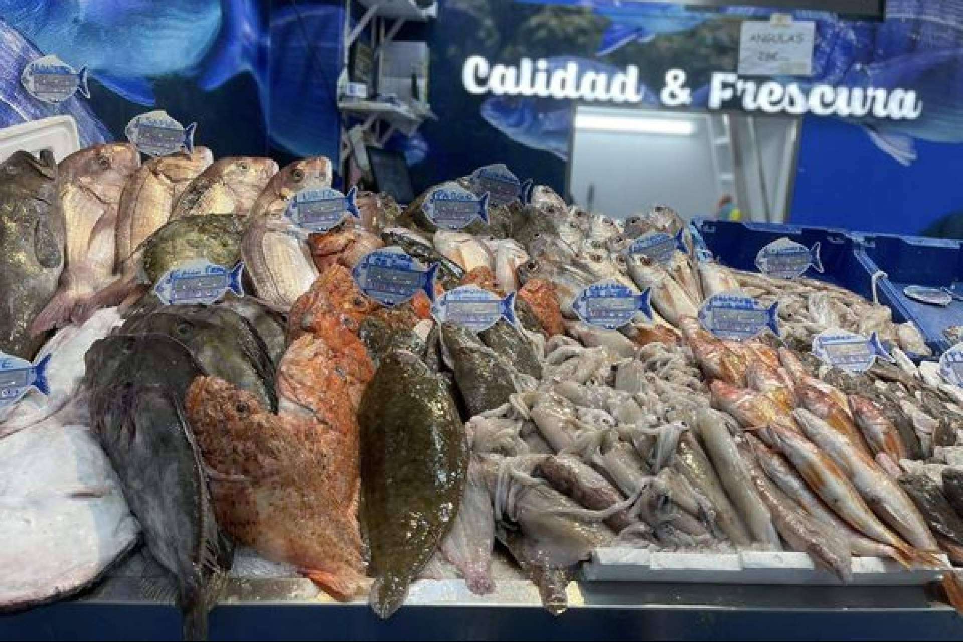 Pescadería Younes Ceuta, tradición familiar y frescura diaria en cada pieza de pescado