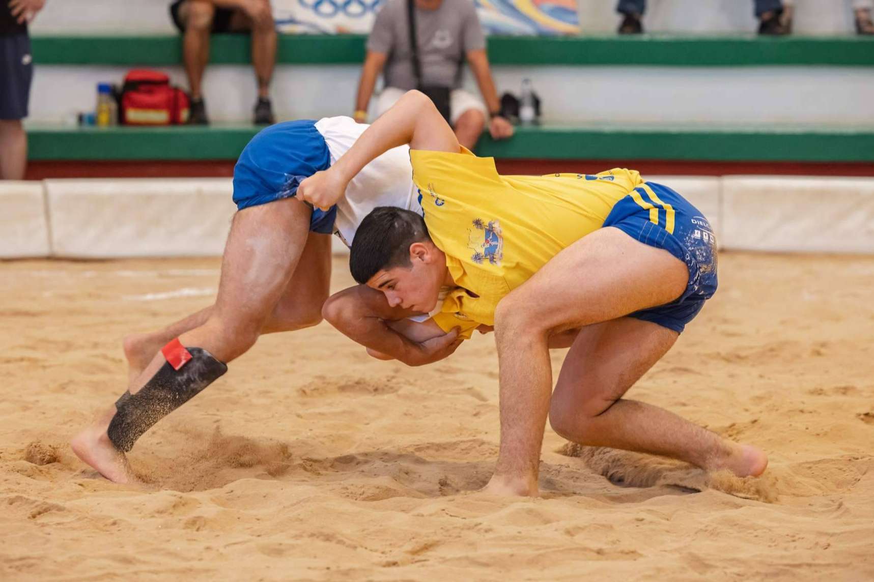 La Lucha Canaria conquista el corazón de Madrid